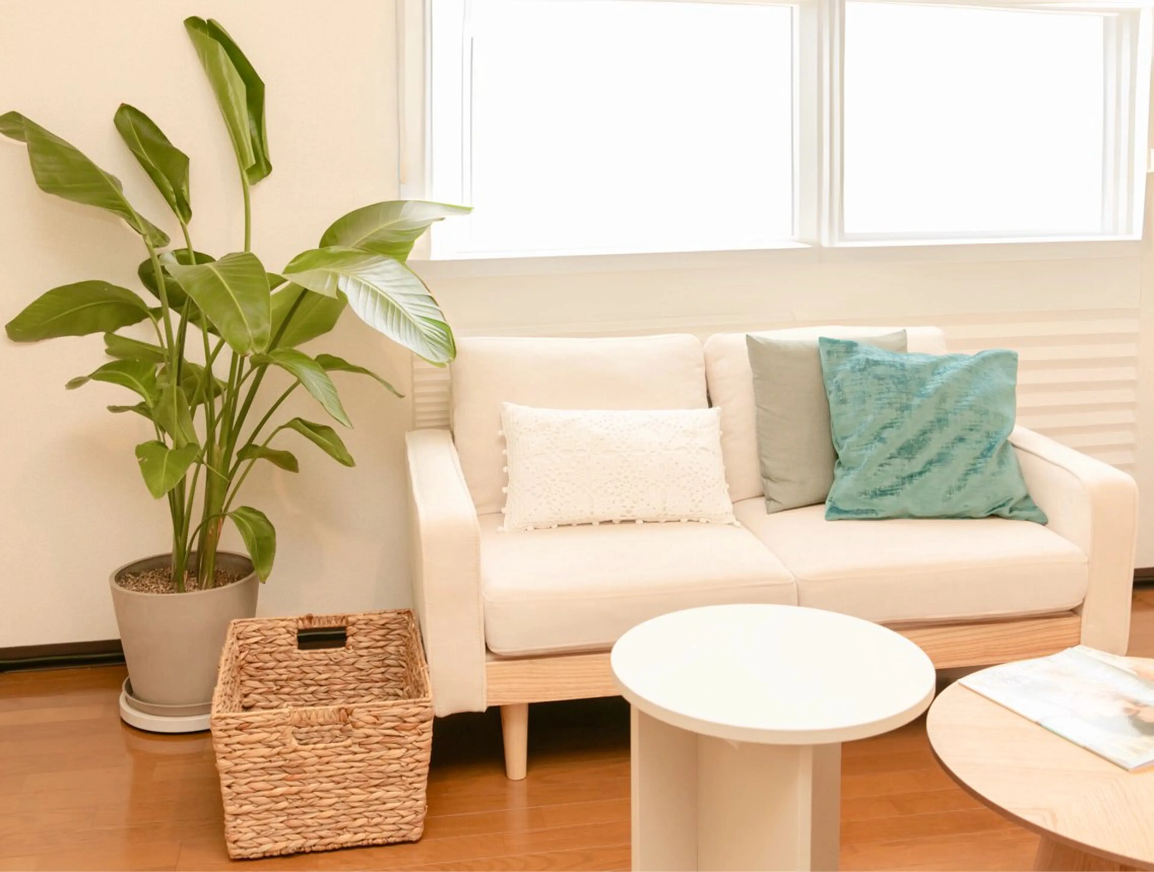 エステ リラク 痩身専門サロン Coral✨のエステ・リラクイメージ