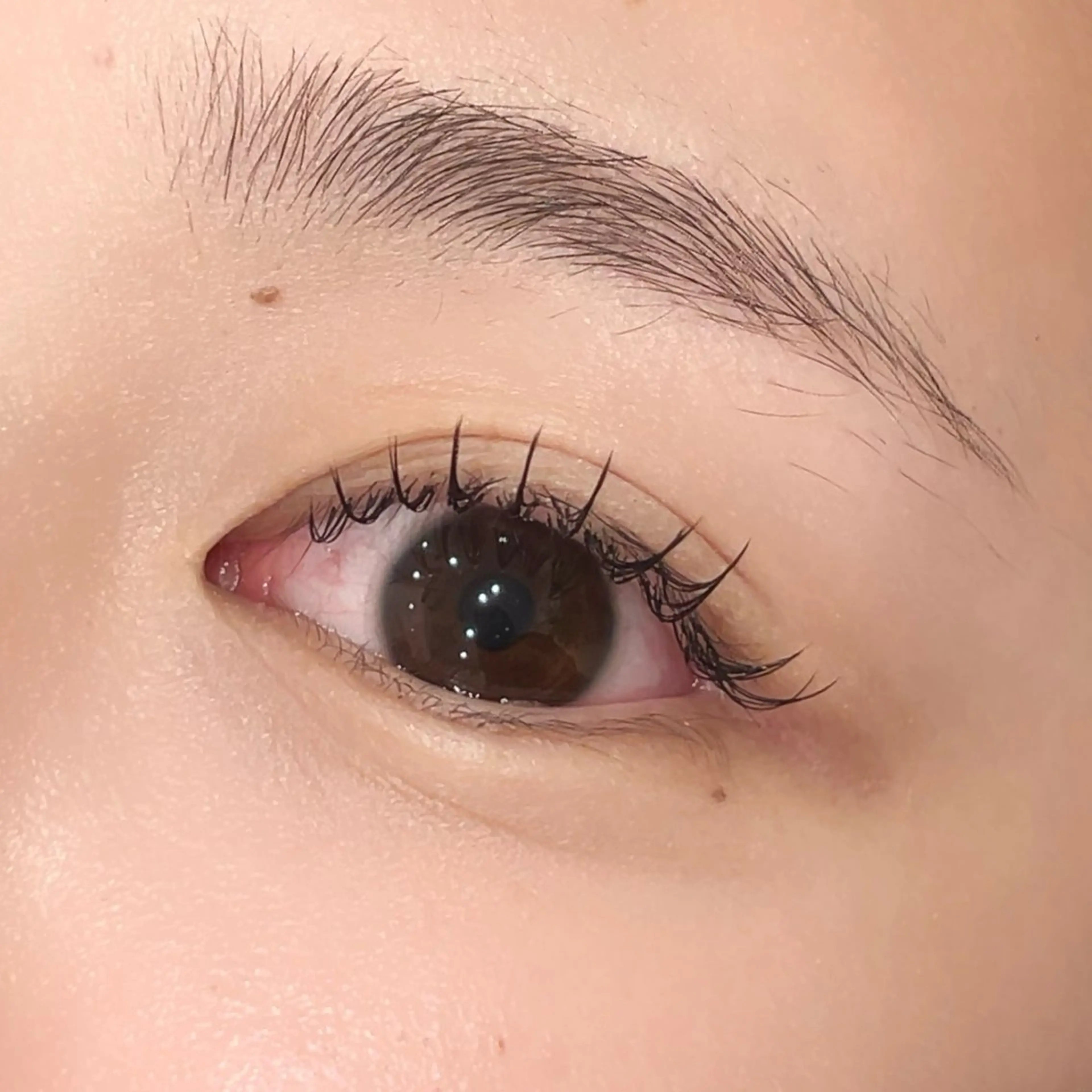 マツエク・マツパ Cカール フラットラッシュ ニコットラッシュ 京橋のマツエク・マツパデザイン