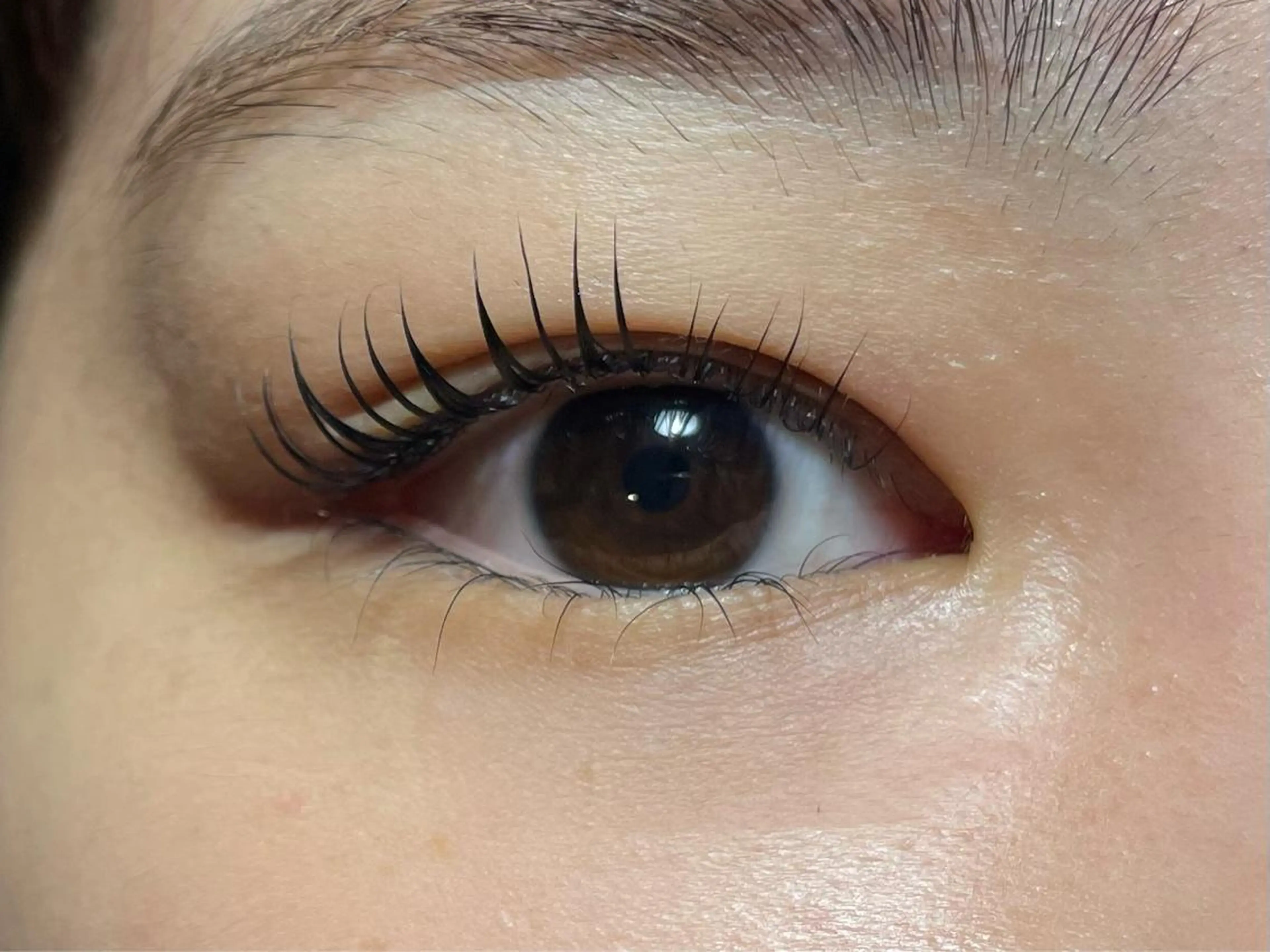 マツエク・マツパ 向井 萌華の眉毛・アイブロウイメージ