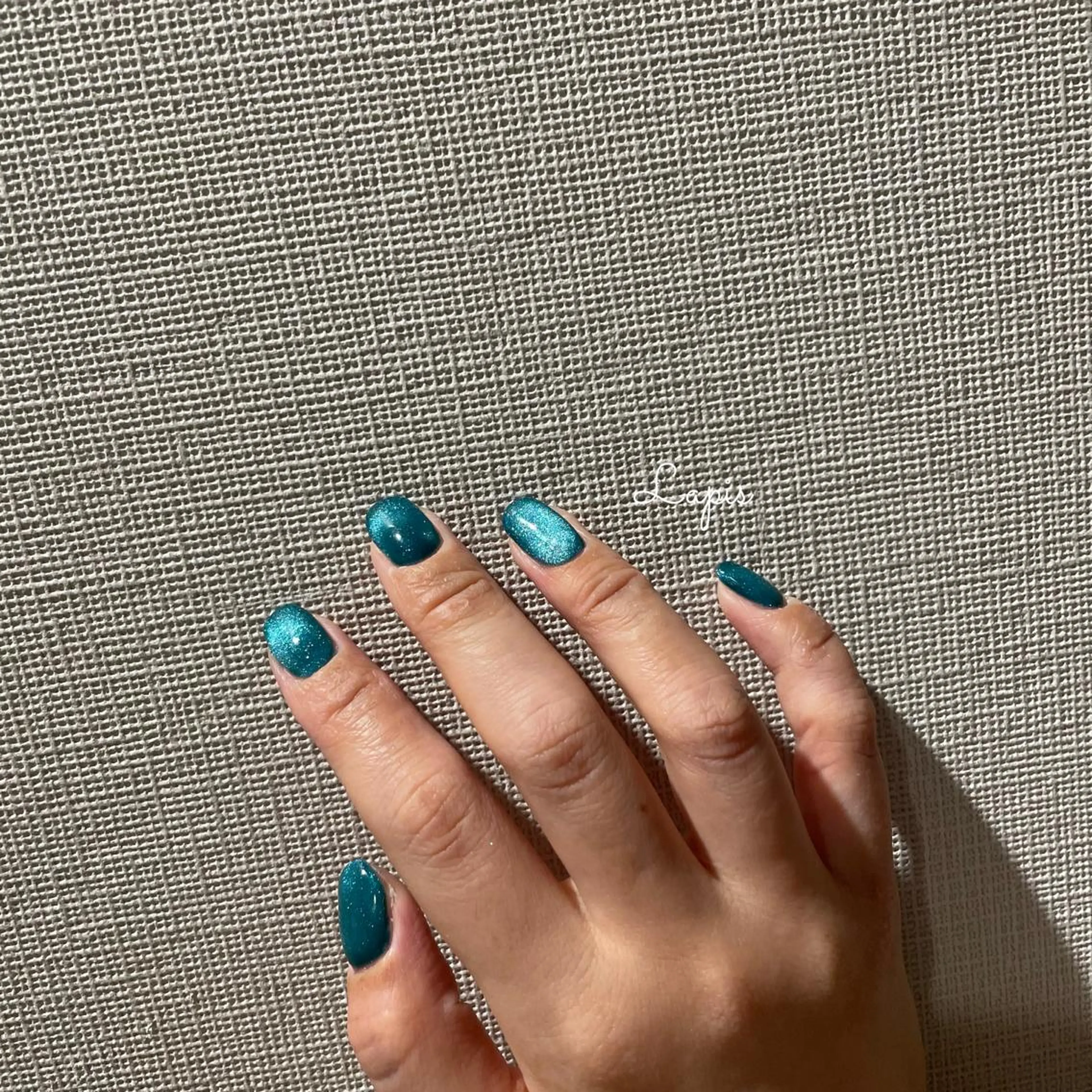 ネイル マグネットネイル ワンカラーネイル Lapis *のネイルデザイン