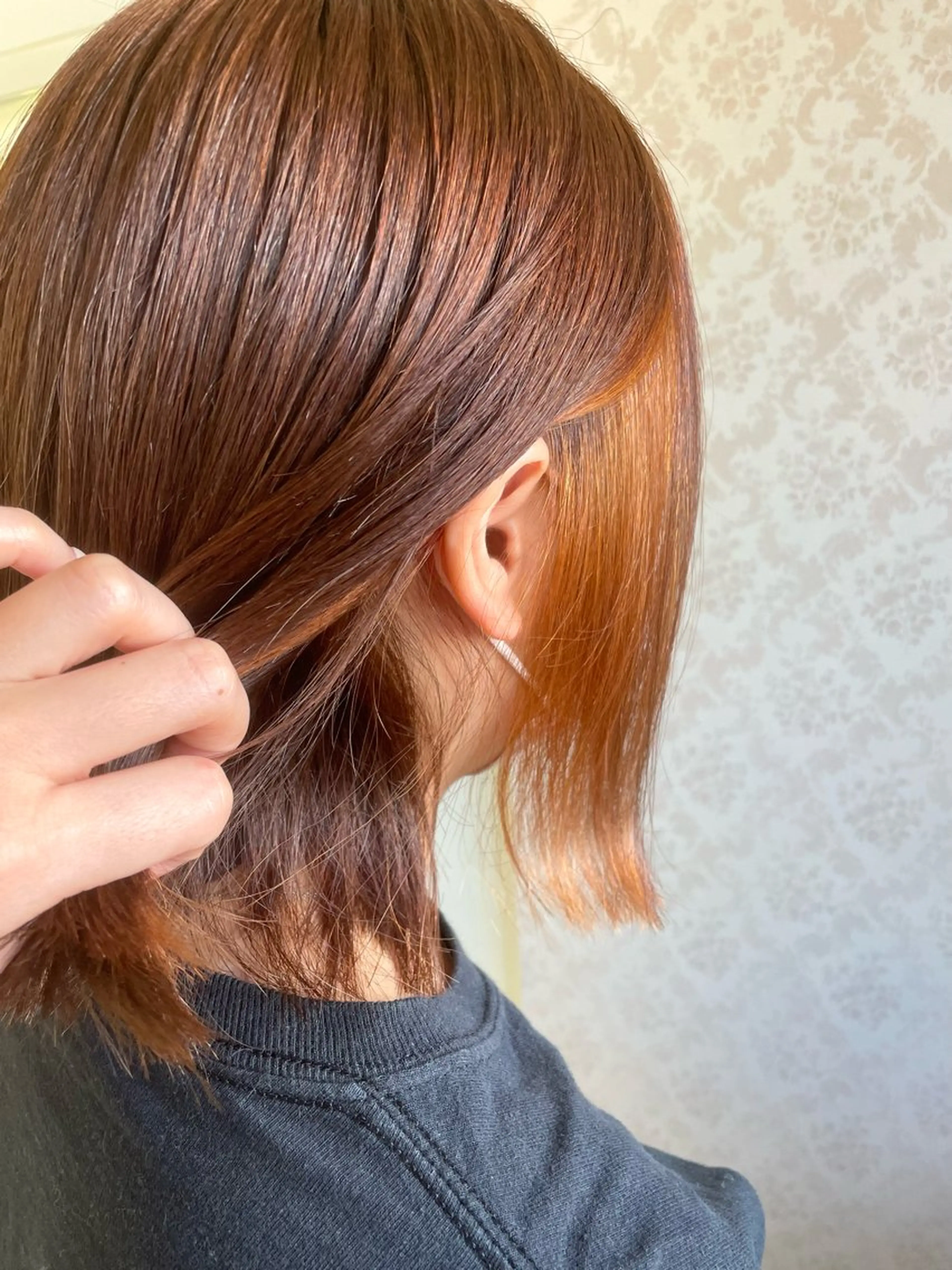カラー ヒヨシ ルナのヘアスタイル
