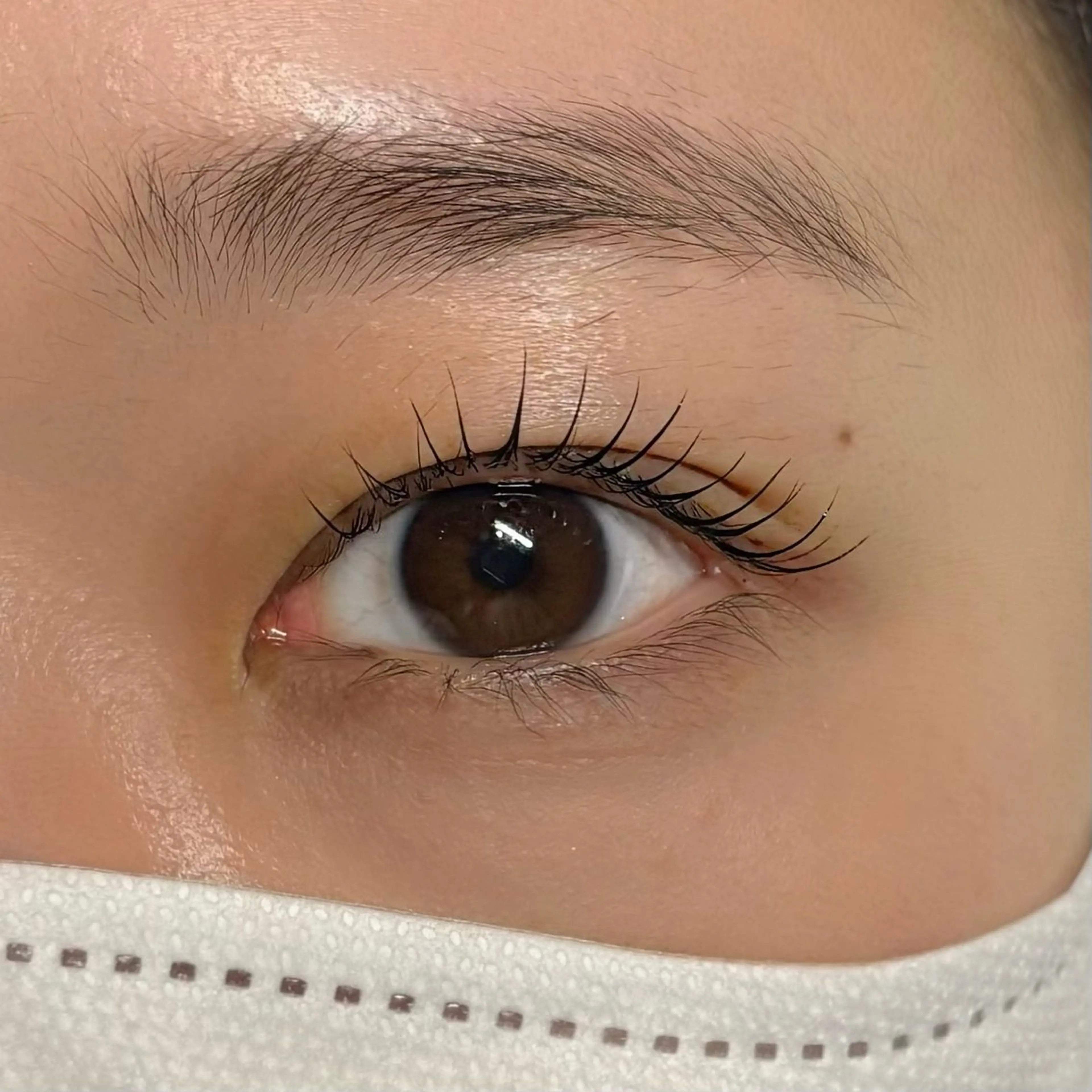 マツエク・マツパ 垢抜け眉WAX専門 ちゅるんまつげ|鎌倉の眉毛・アイブロウイメージ