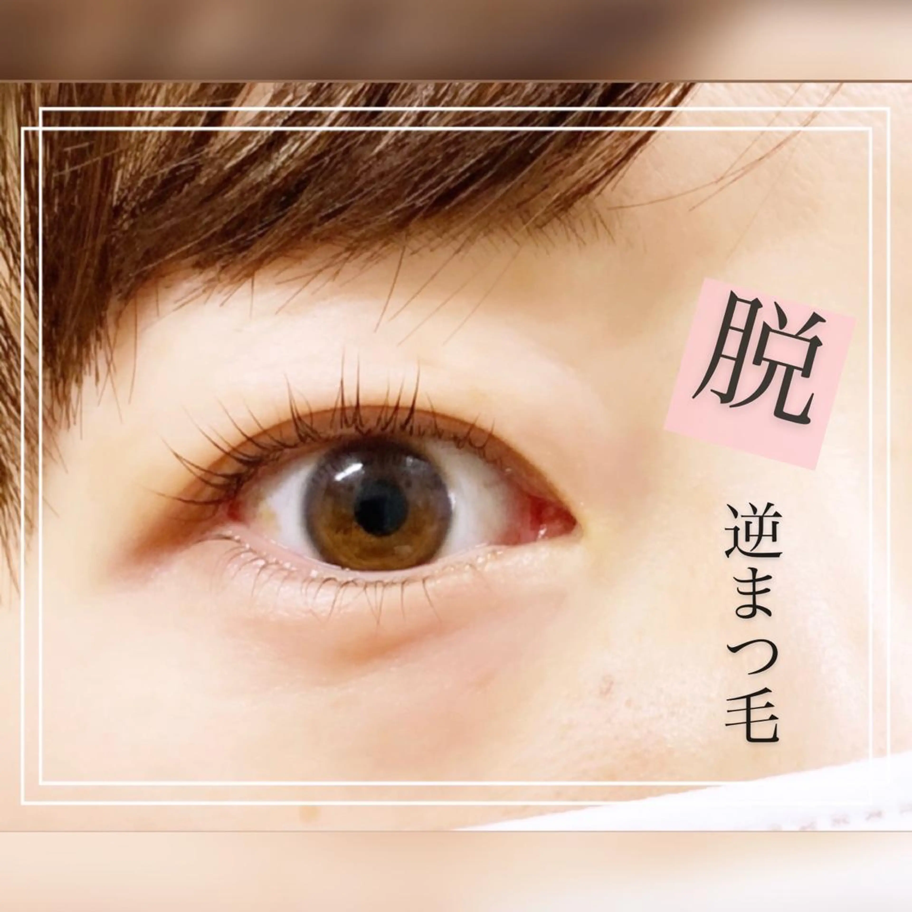 マツエク・マツパ ラグラス所属・yamawaki erinaのマツエク・マツパデザイン