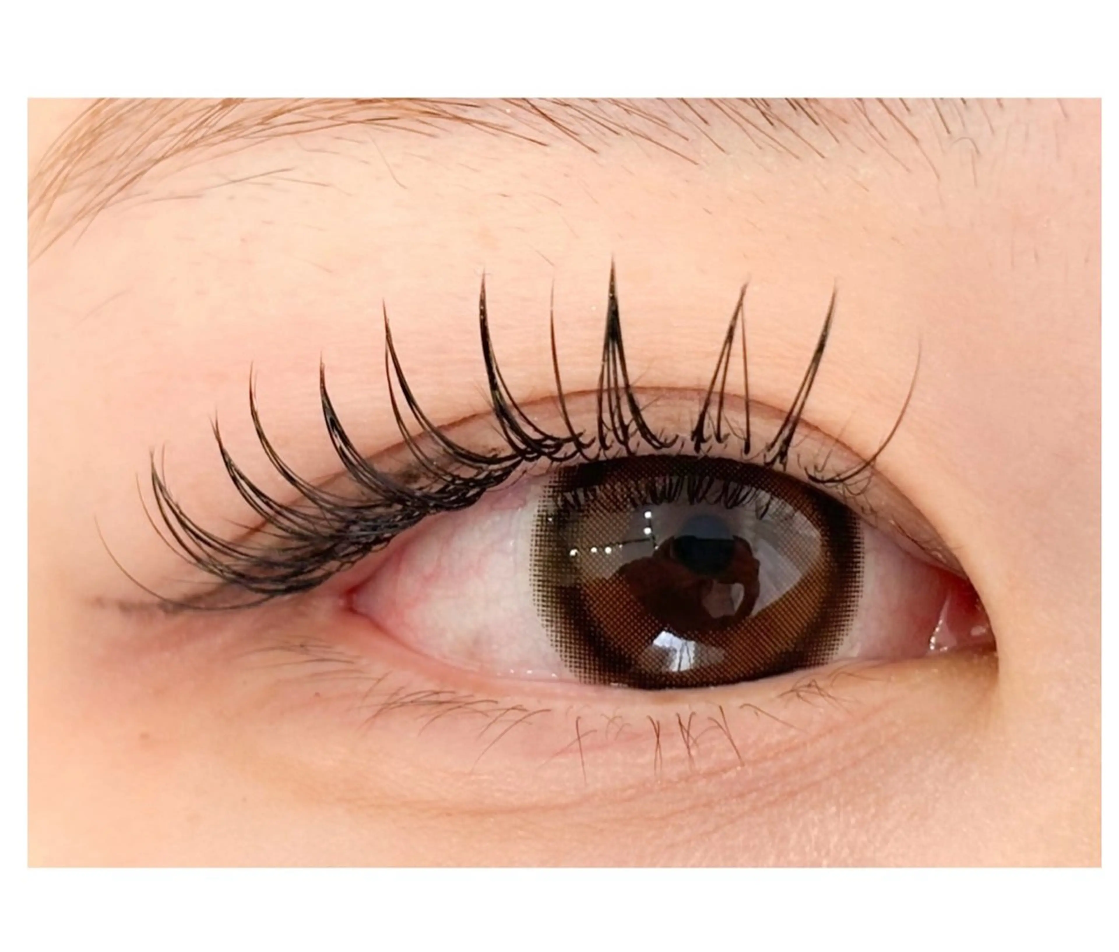 マツエク・マツパ マツエク Aprilush🦋 Cieloのマツエク・マツパデザイン