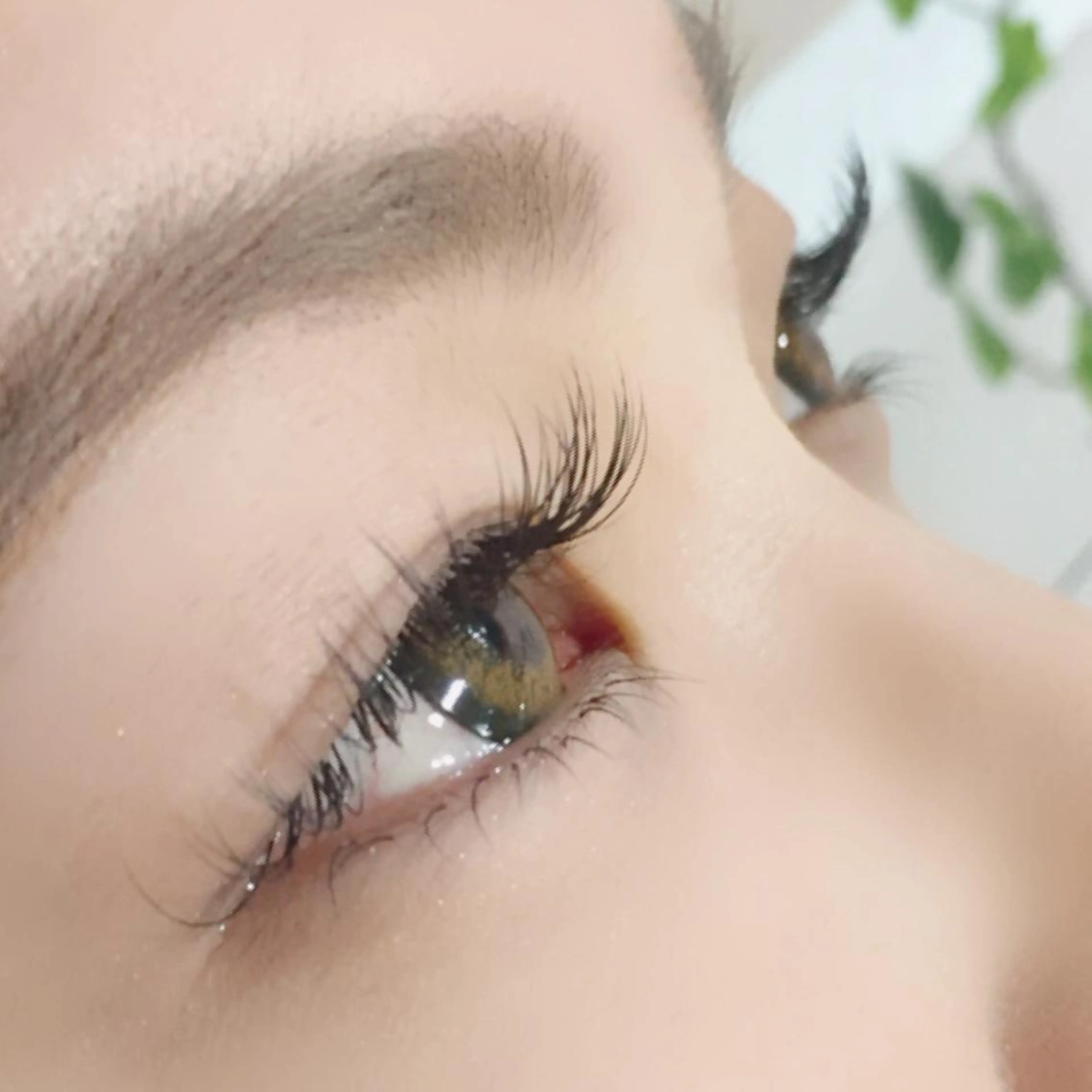 マツエク・マツパ メンズアイブロウ MAXIの眉毛・アイブロウイメージ