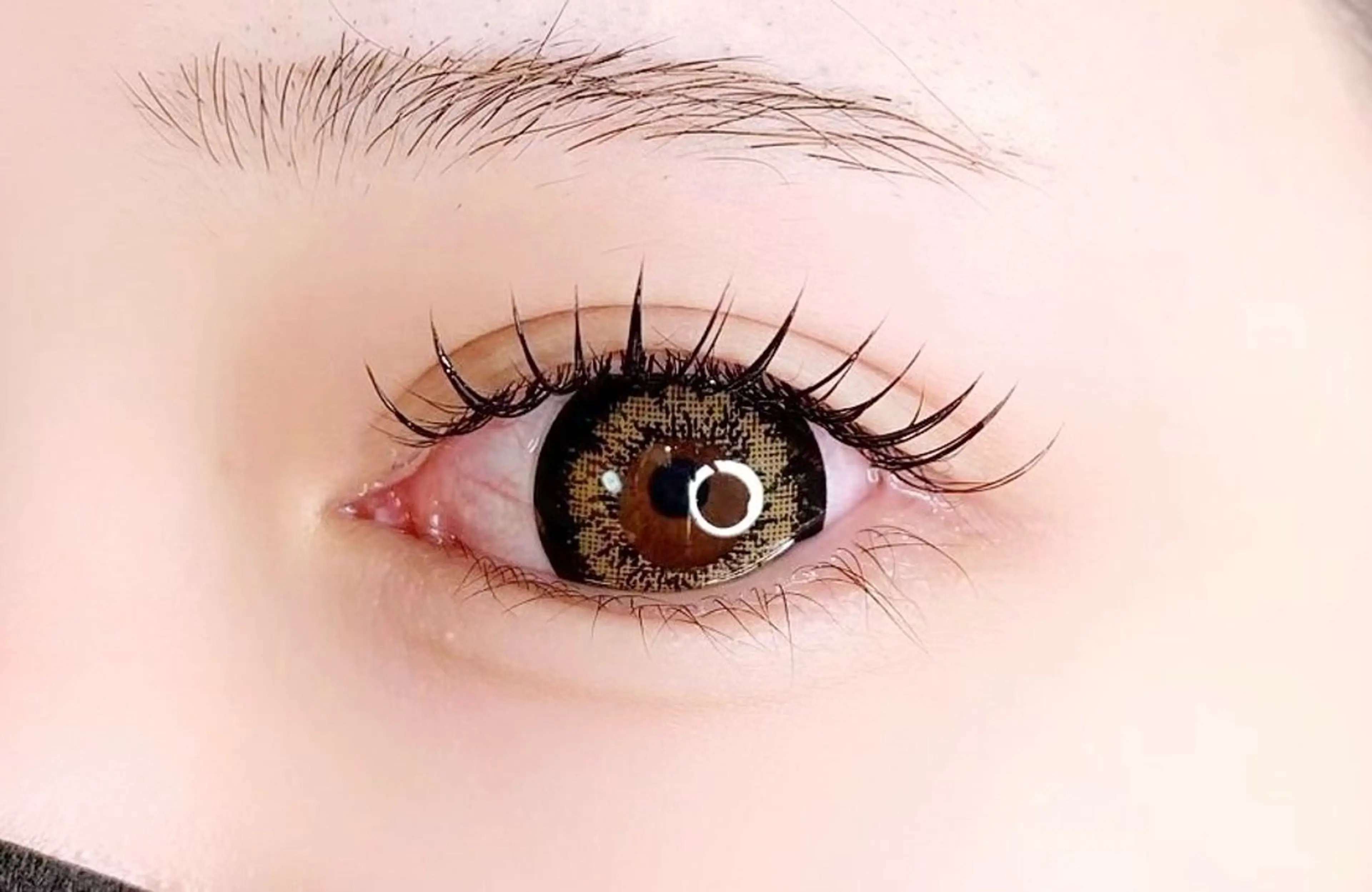 🎀パリエク🎀《ﾊﾟﾘｼﾞｪﾝﾇ＋ﾌﾗｯﾄﾗｯｼｭ80本orバインド60束》の写真