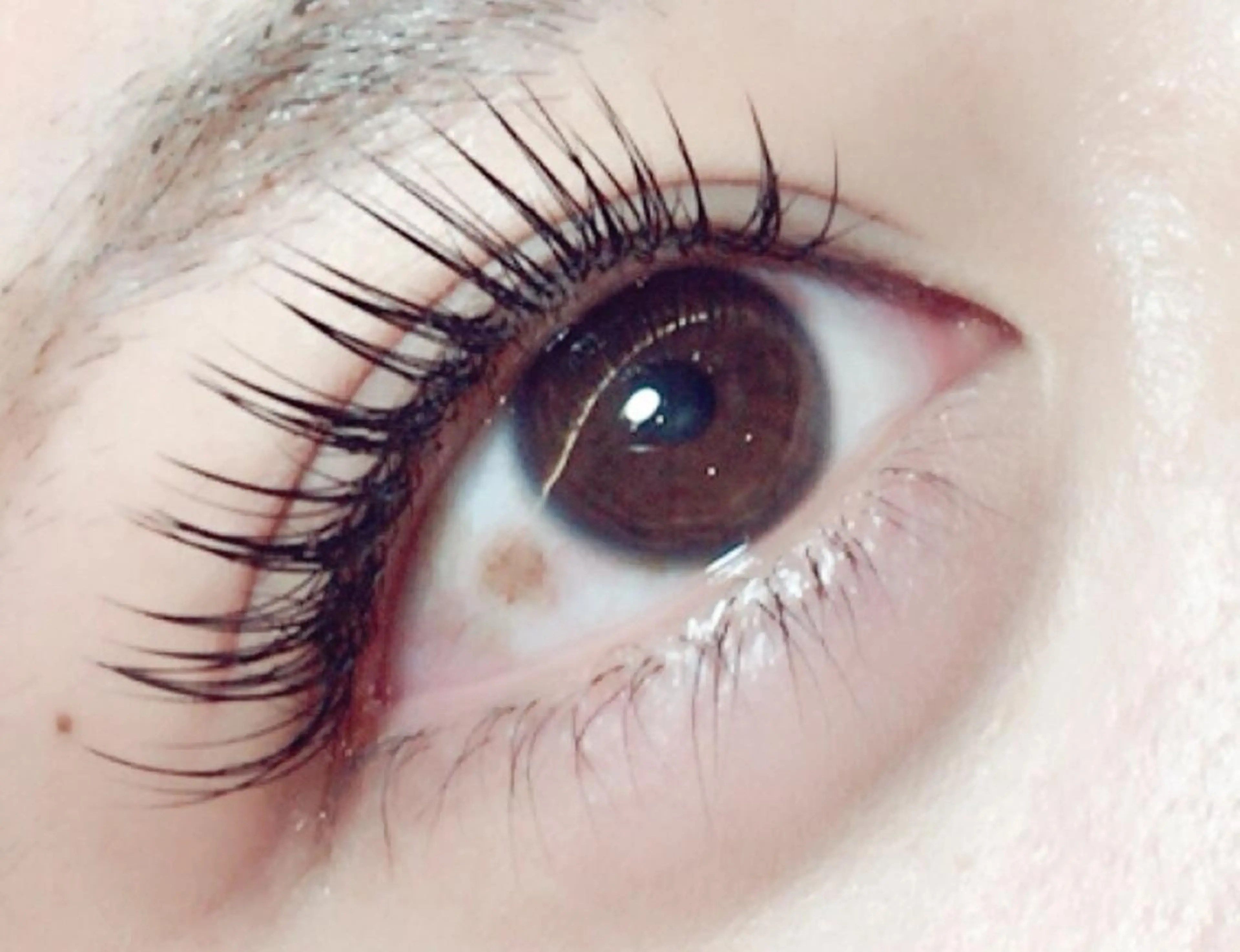 マツエク・マツパ セーブル アップワードラッシュ 🪄◝ cake harunoのマツエク・マツパデザイン