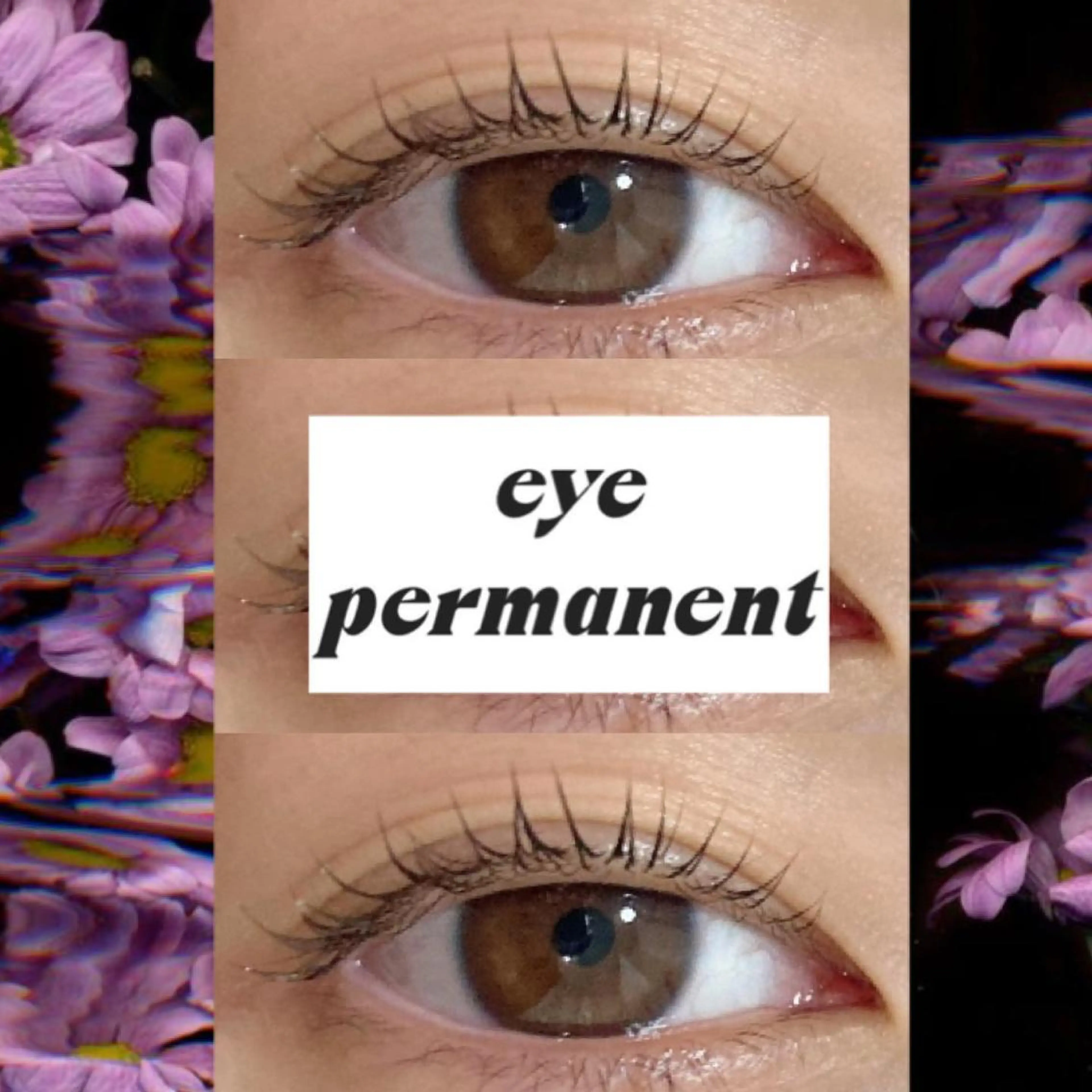 マツエク・マツパ ブラウンラッシュ 束感まつ毛 カラーマツエク フラットラッシュ 韓国風マツエク orihara𐙚 まつげパーマ/眉毛のマツエク・マツパデザイン