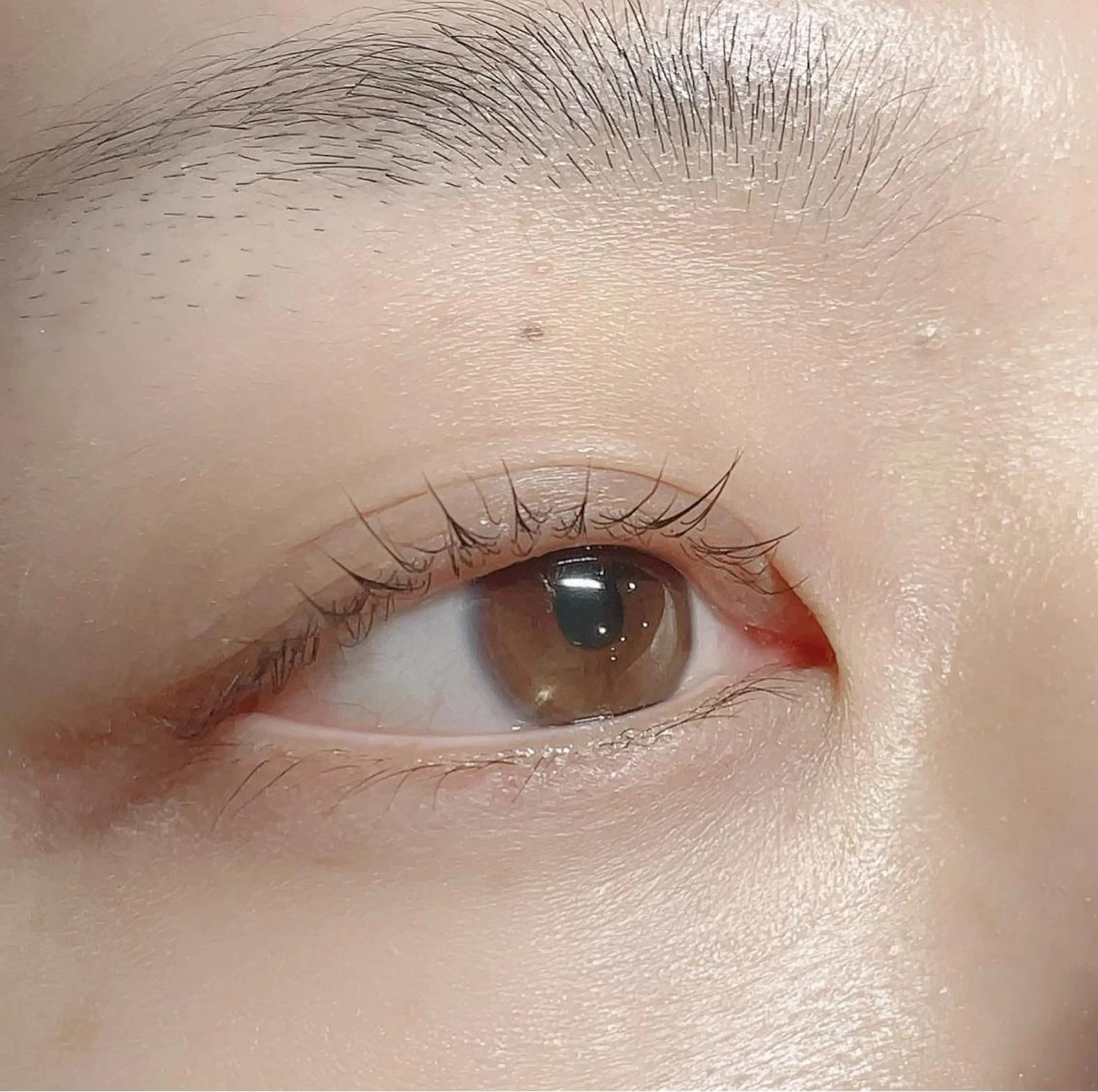 マツエク・マツパ ナチュラル iu.(イユドット)所属・🤍二条城北iu. /IKUHOのマツエク・マツパデザイン