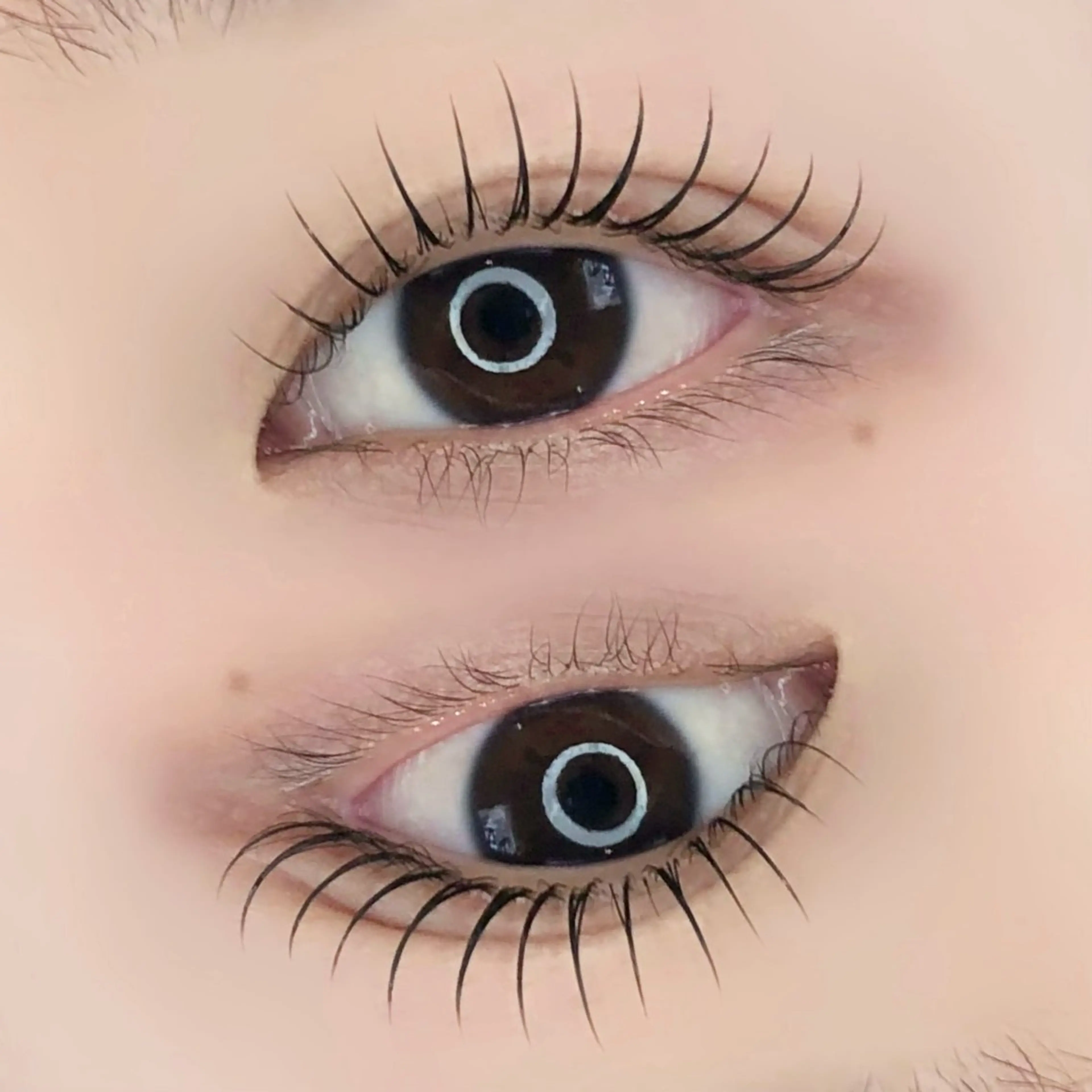 マツエク・マツパ ar...beauty salon所属・藤原 茜のマツエク・マツパデザイン