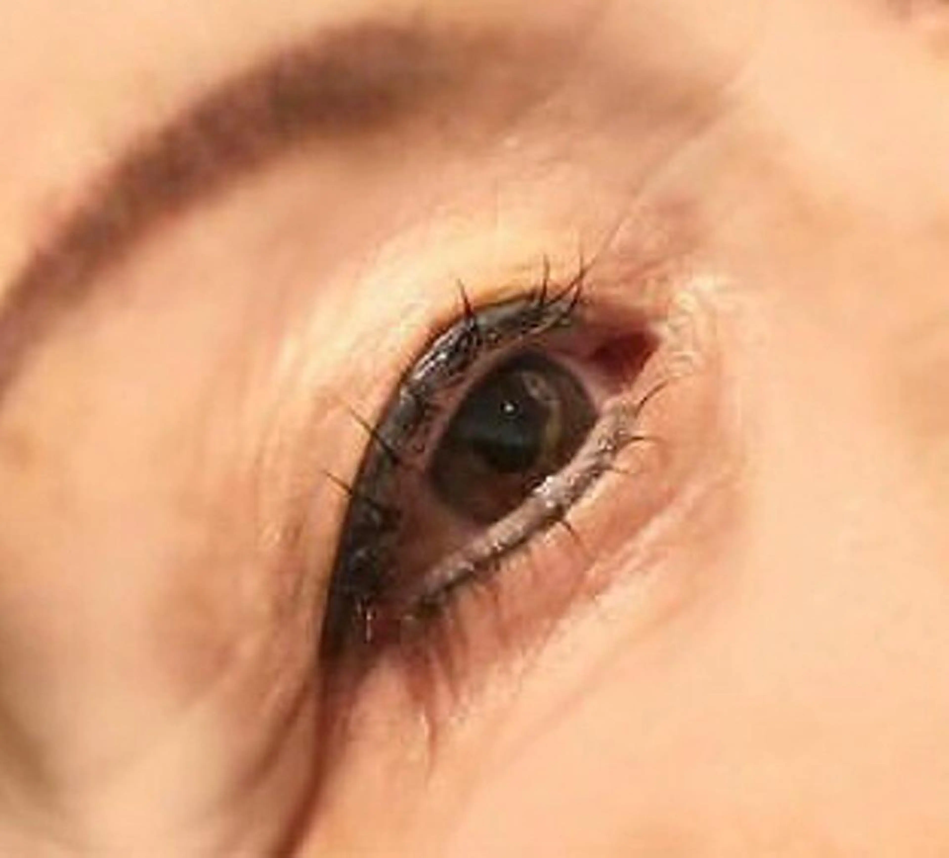 💙まつ毛パーマ上下初回💙✨(アイシャンプー、トリートメント付)✨の写真