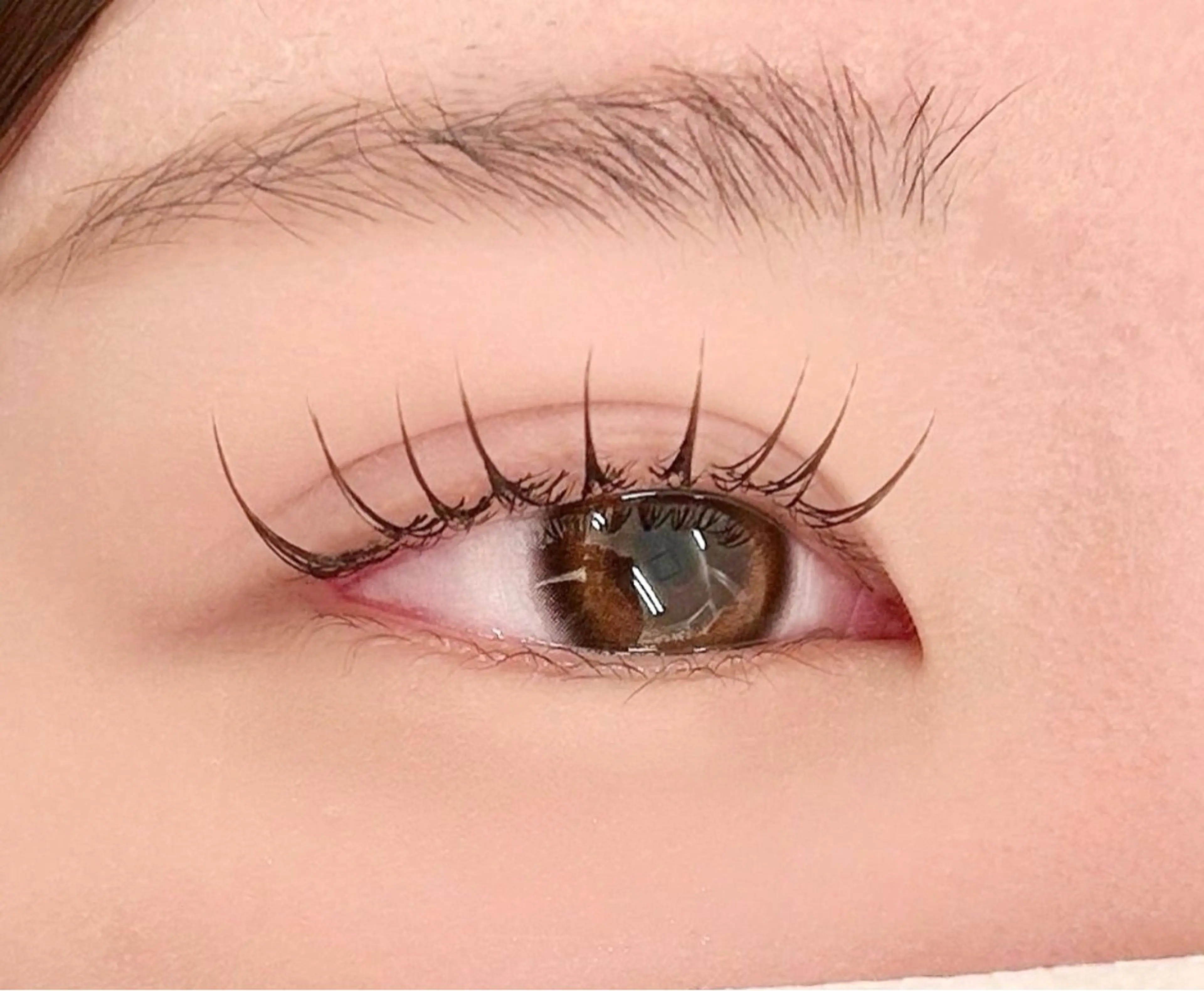 マツエク100本(オフ無し)🏹の写真