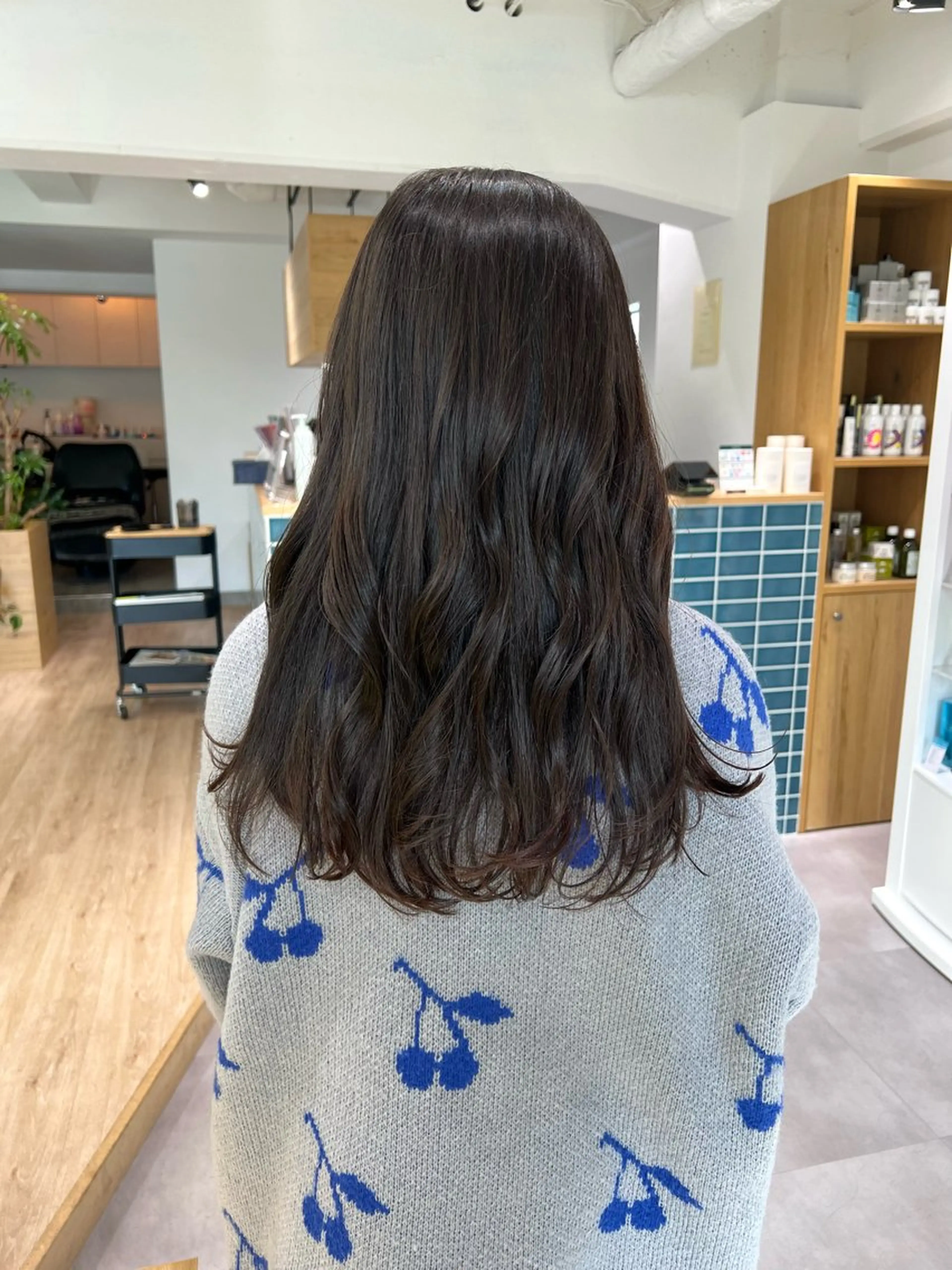 ロング カット 田中 愛梨のヘアスタイル