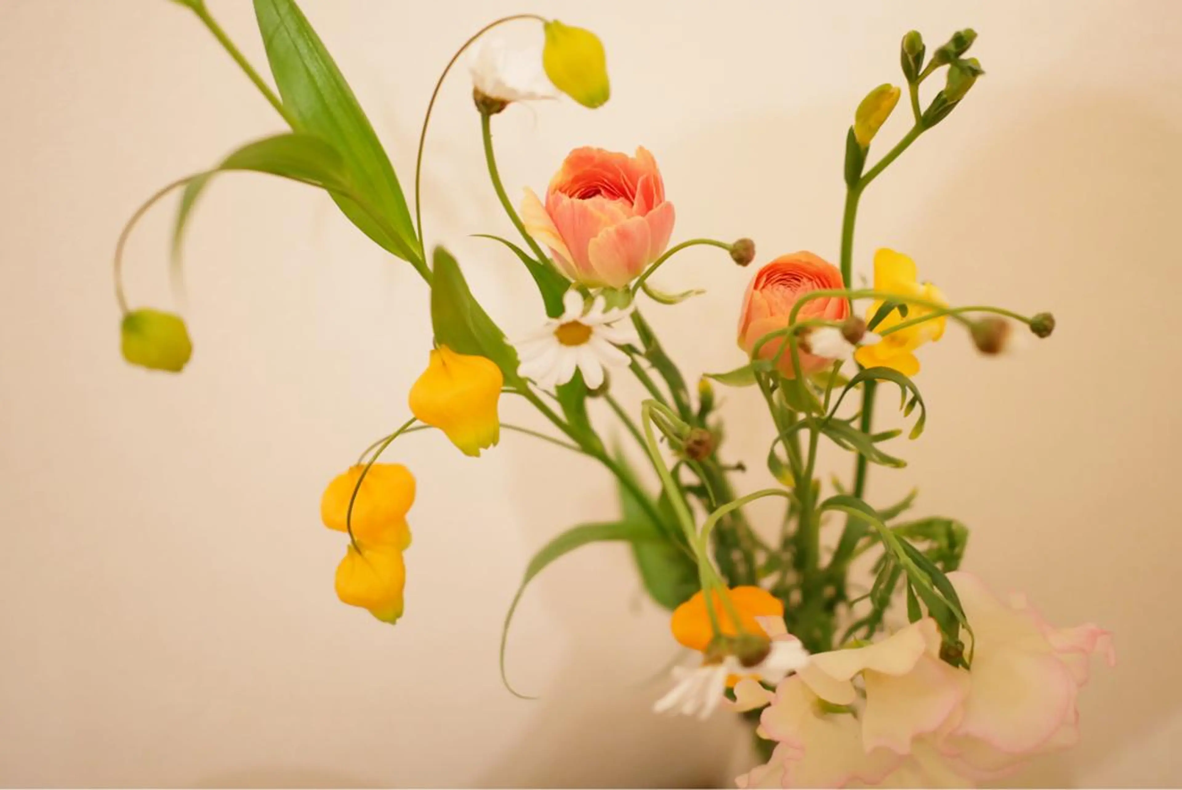 セミロング カラー パーマ ヘアアレンジ メンズ キッズ ネイル マツエク・マツパ 卒業式のヘアスタイル 卒業式 エステ リラク ニキビ跡専門サロン Ａｉｎａのエステ・リラクイメージ