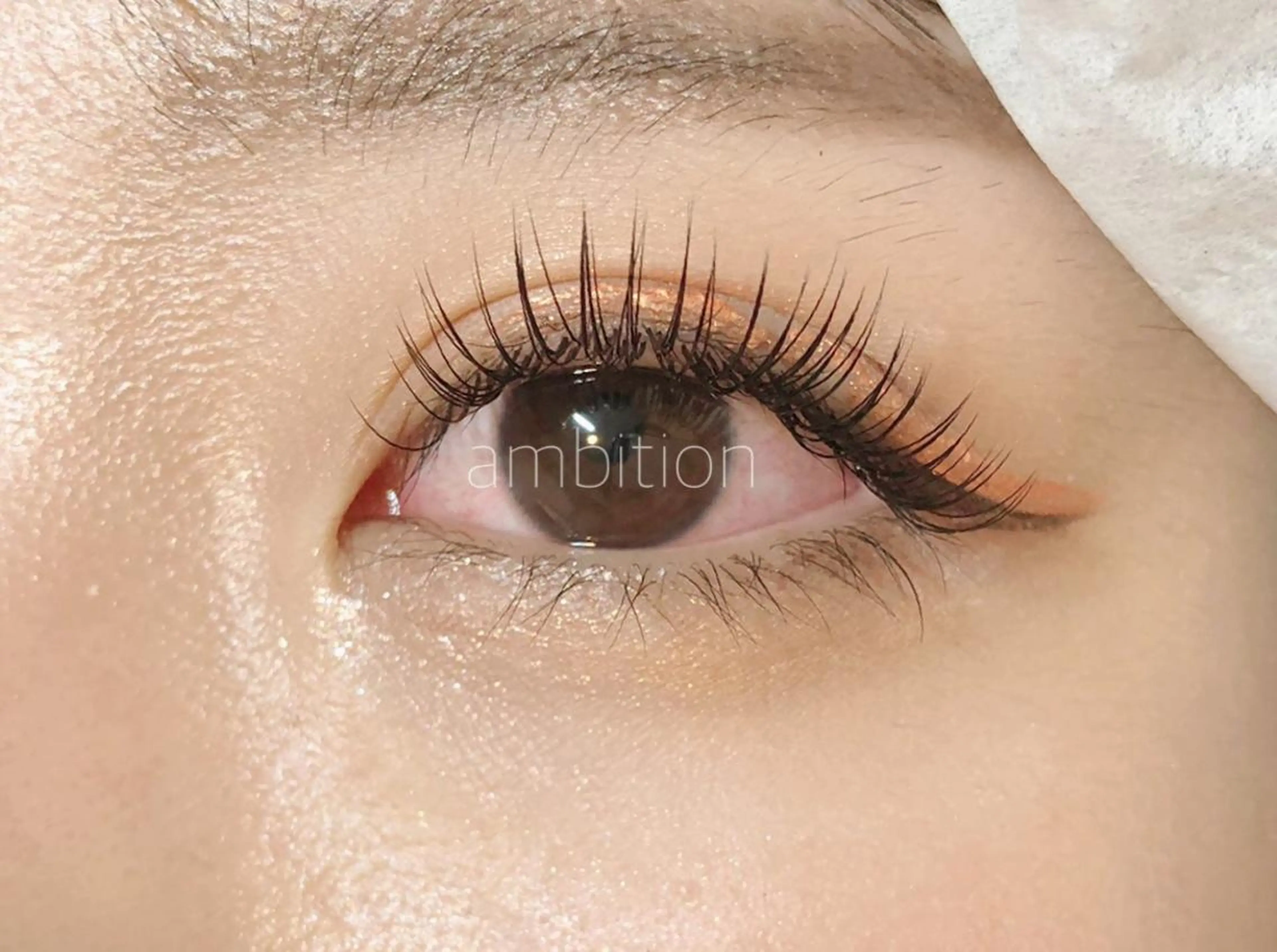 マツエク・マツパ Cカール セーブル デイジーラッシュ 大阪駅前第3ビルのマツエク・マツパデザイン