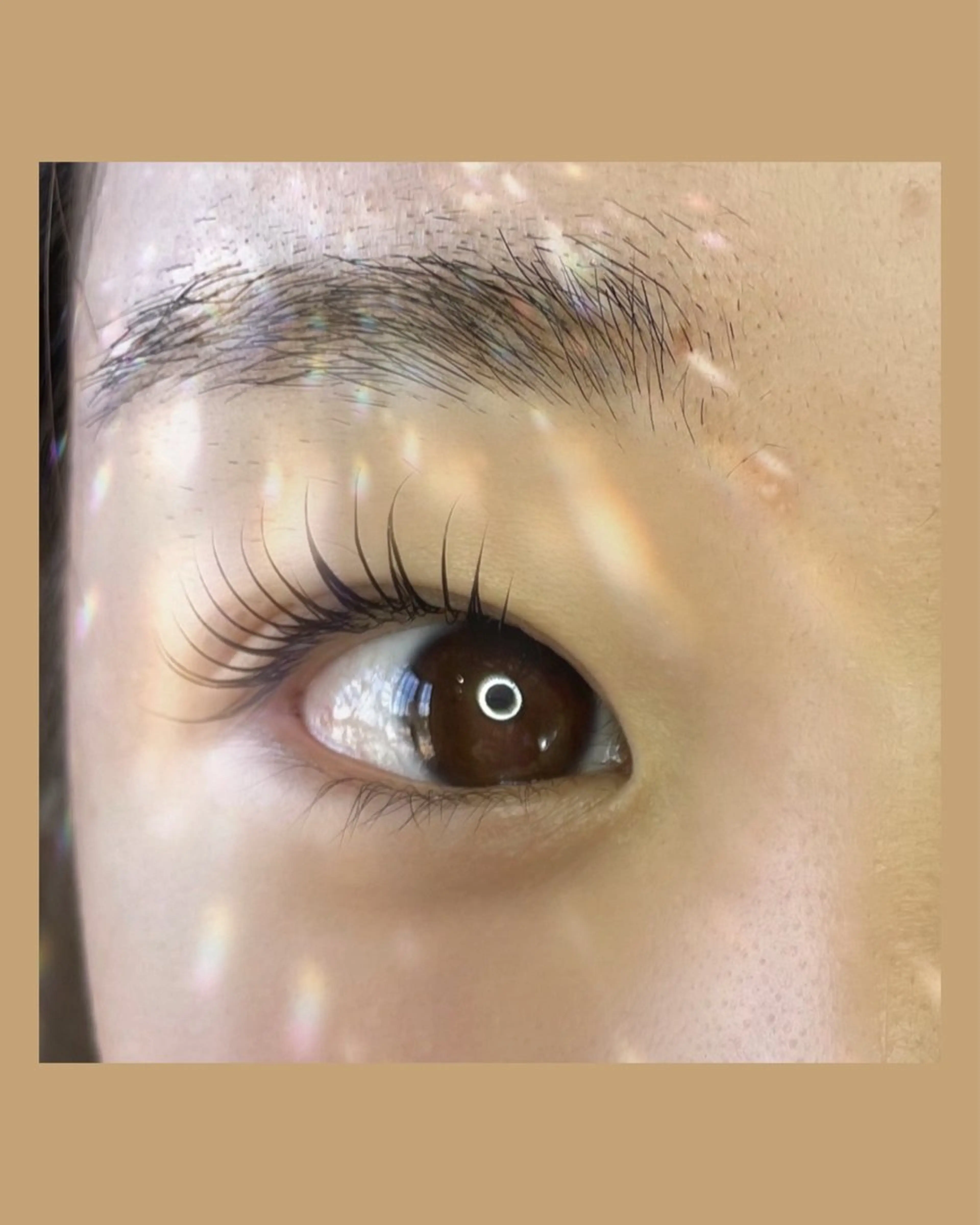 マツエク・マツパ ojigi hair所属・ojigi hair 【ayumi】のマツエク・マツパデザイン