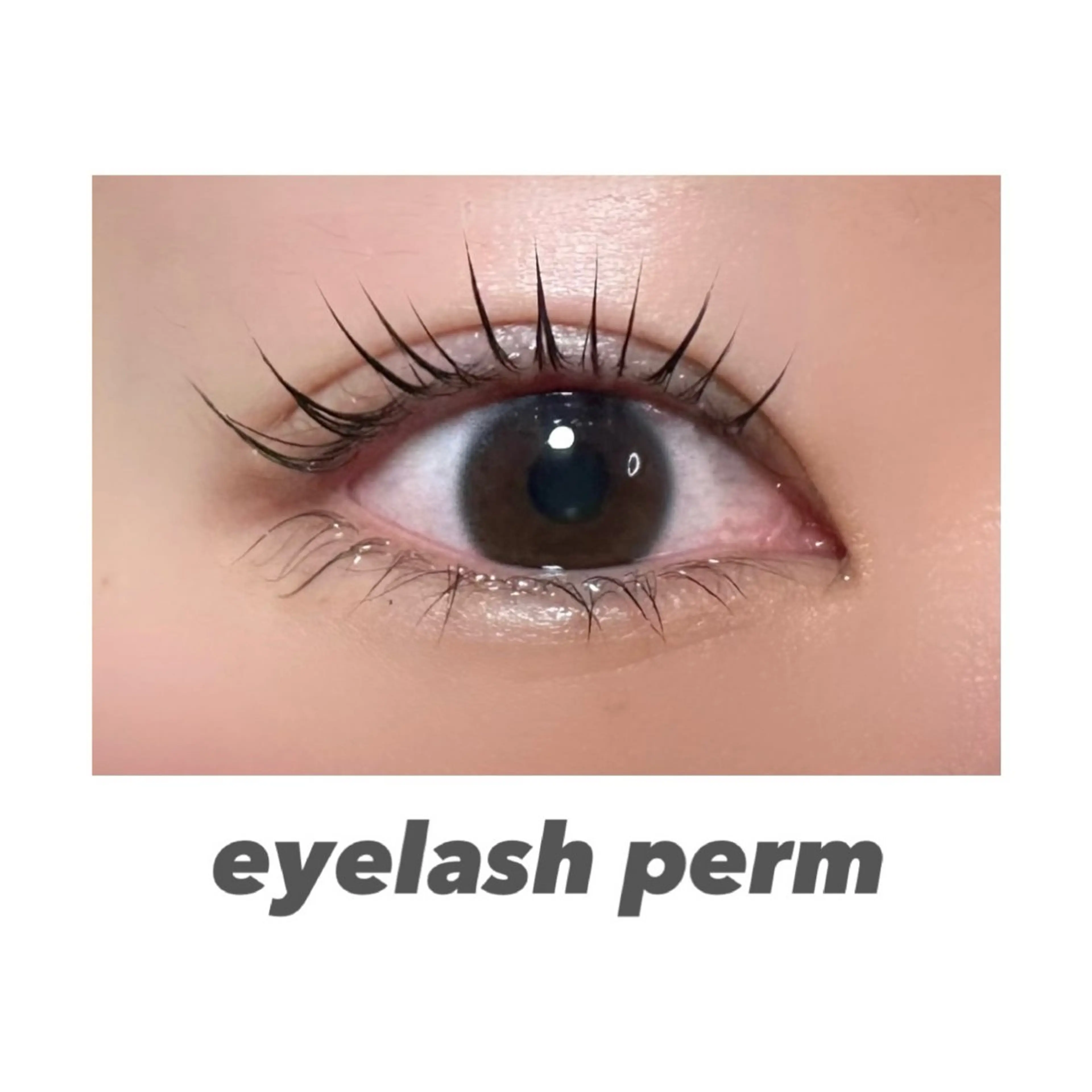 マツエク・マツパ scarlet asahiのマツエク・マツパデザイン