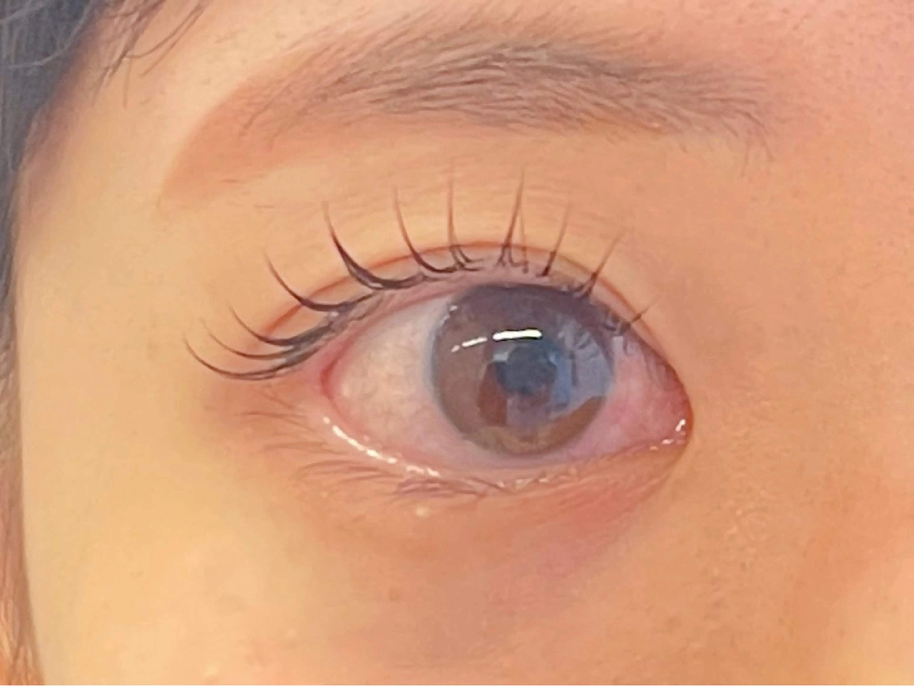 マツエク・マツパ マツパ 𝐞𝐢𝐠𝐡𝐭 YUKARI🐰💜のマツエク・マツパデザイン