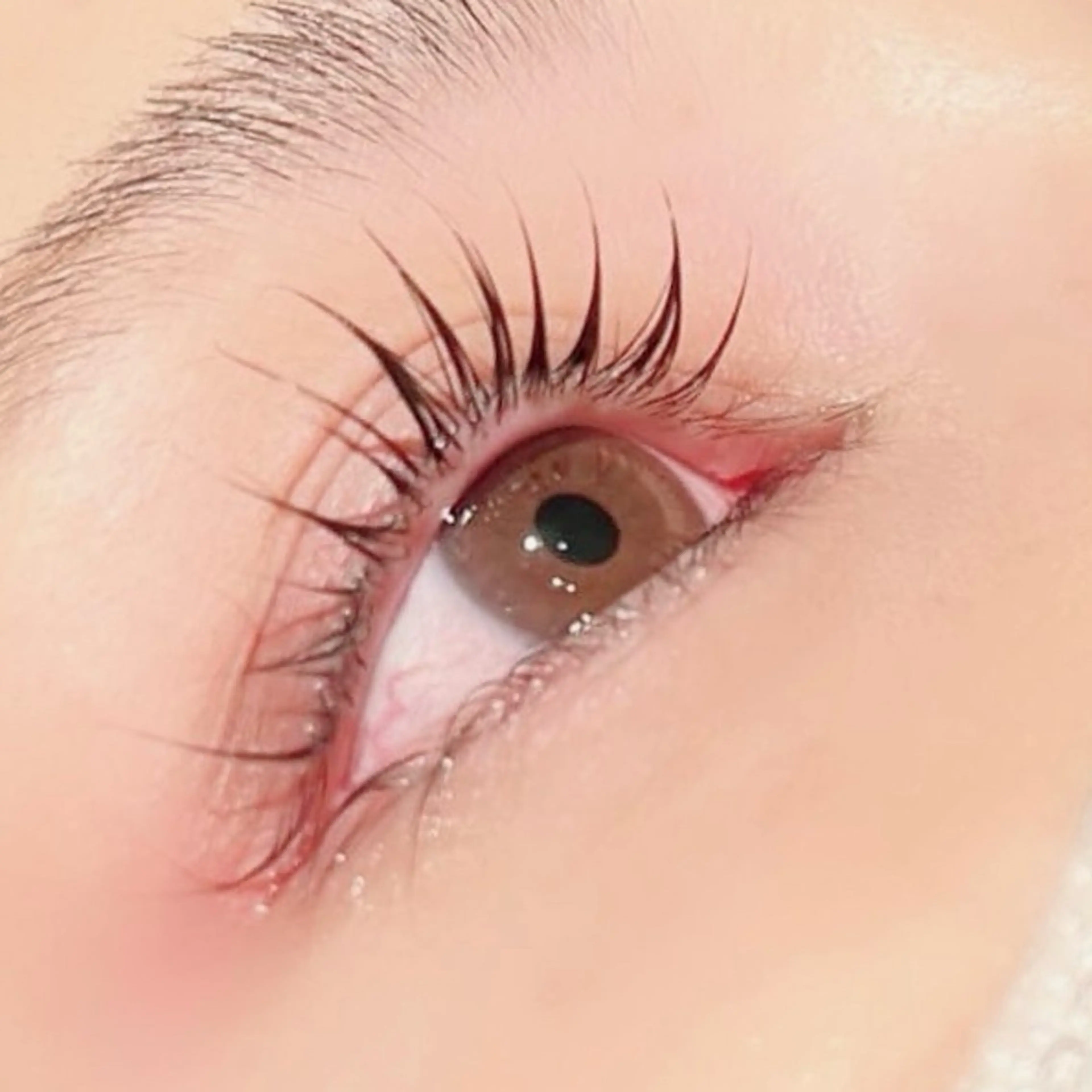 マツエク・マツパ マツパ 💚ミヤマ アンナ☘️のヘアスタイル