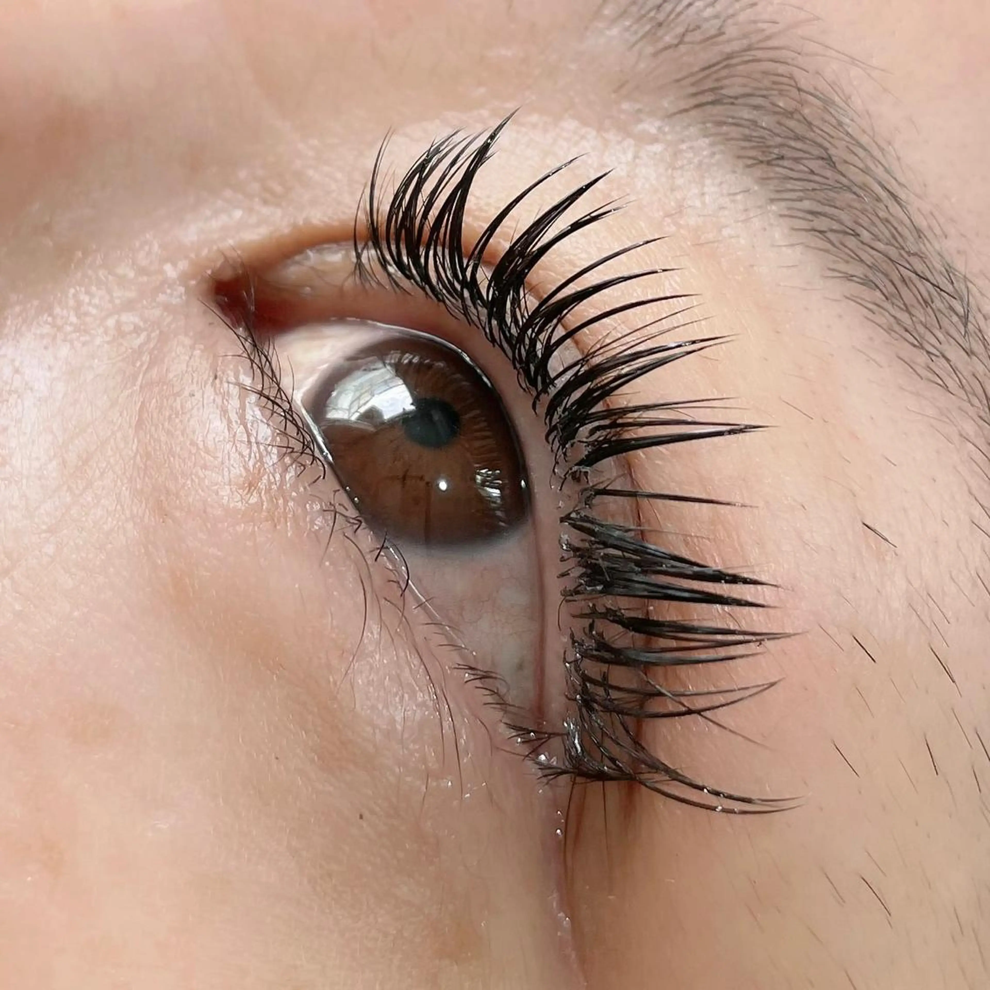 マツエク・マツパ マツエク Koti sakai mayuのマツエク・マツパデザイン