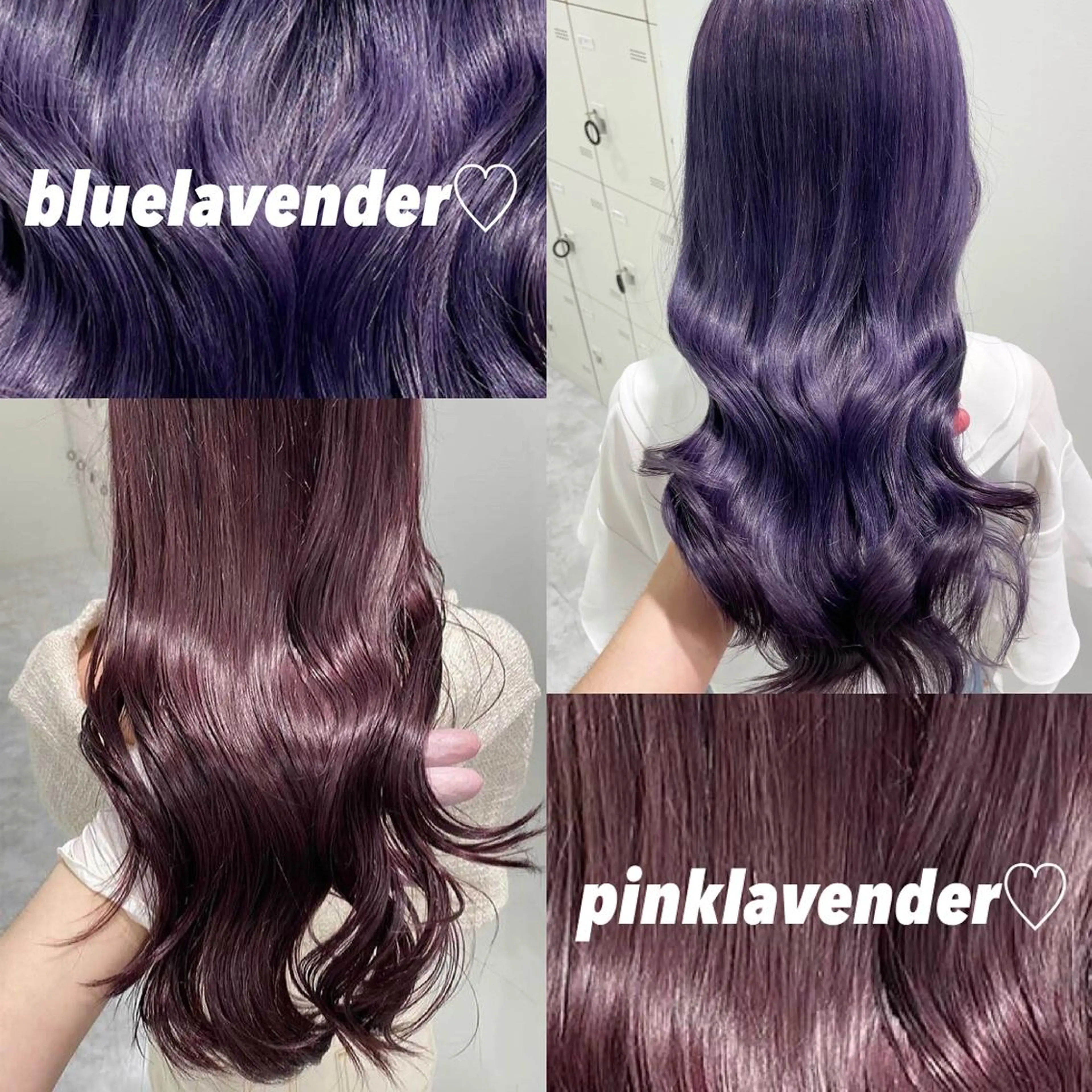 ロング カラー BerryEyes所属・🦋haginoya miho🦋のマツエク・マツパデザイン