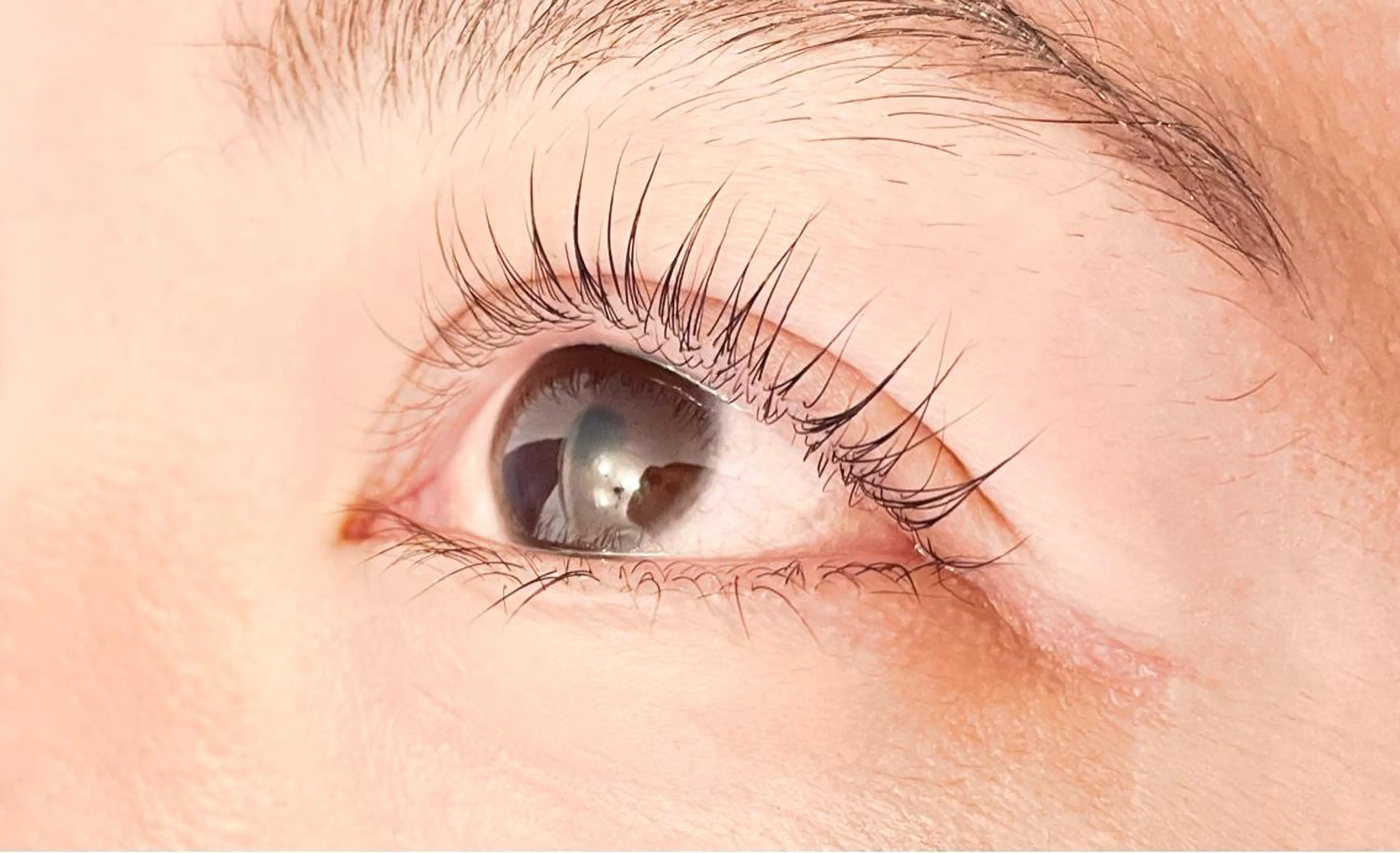 マツエク・マツパ マツパ wazuki beauté所属・森本 知代のマツエク・マツパデザイン