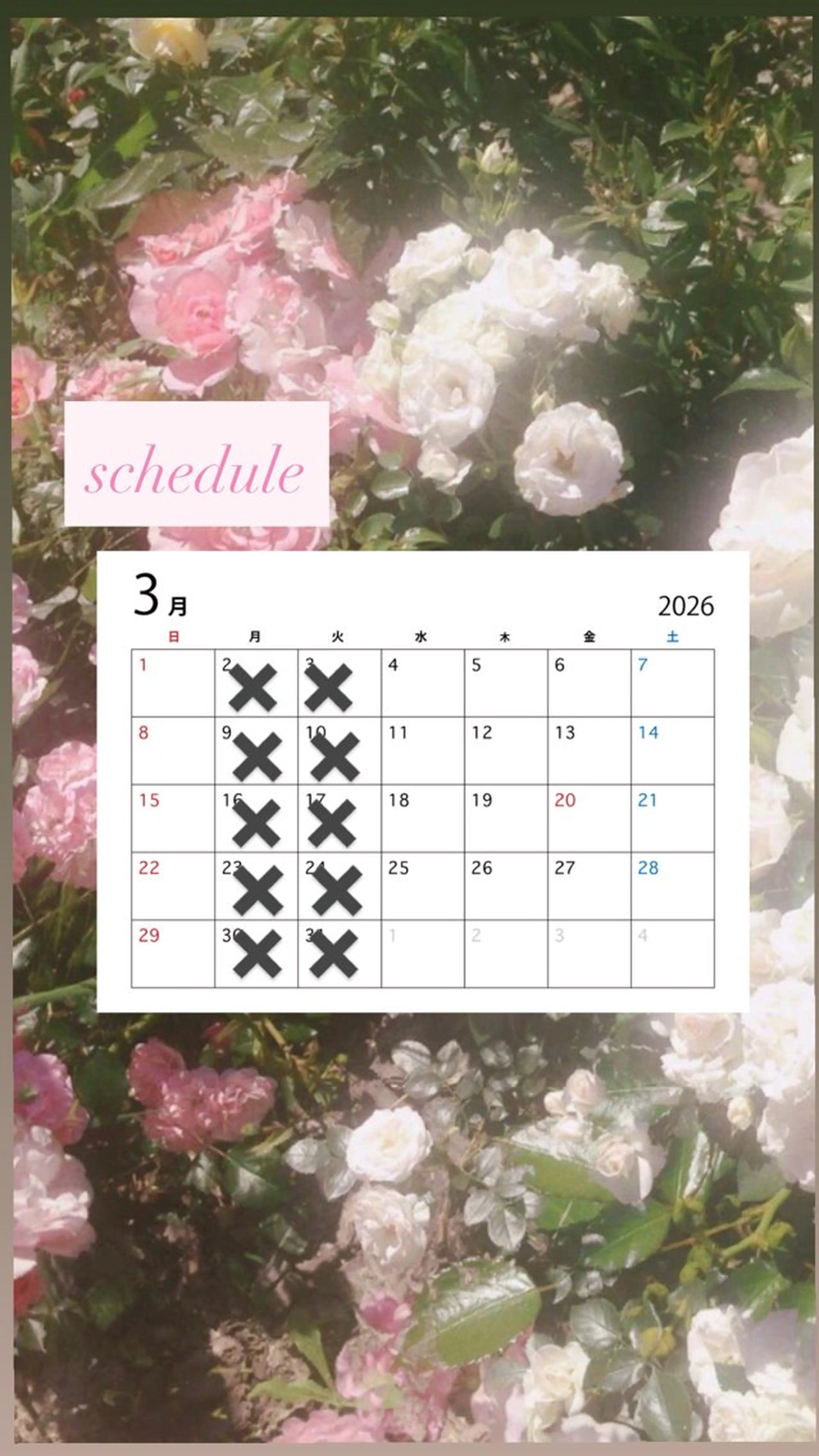 カラー カット ヘアカラー レイヤーカット/ フェミニン💕/鏡のヘアスタイル