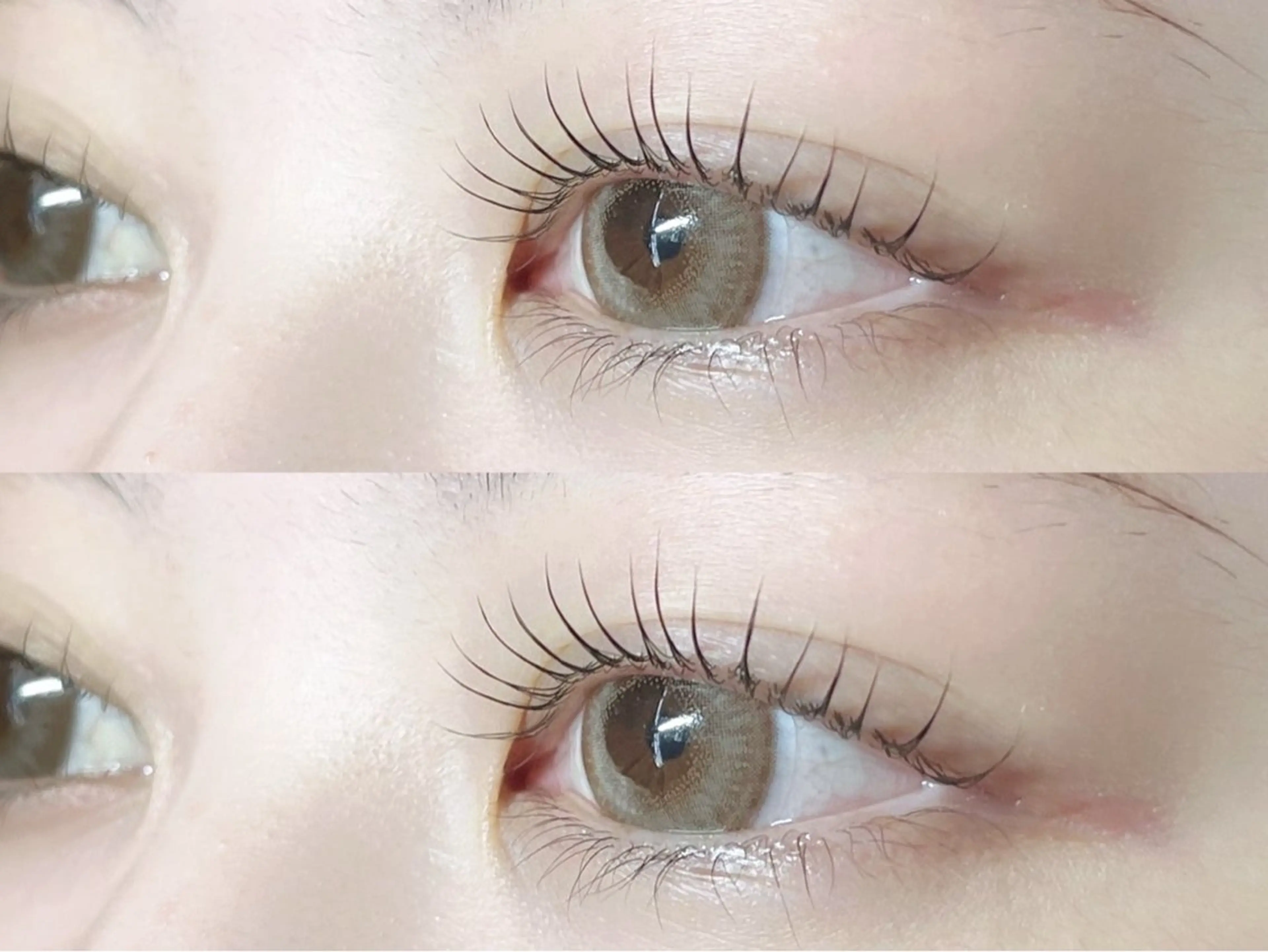 🎀まつ毛パーマ🎀の写真