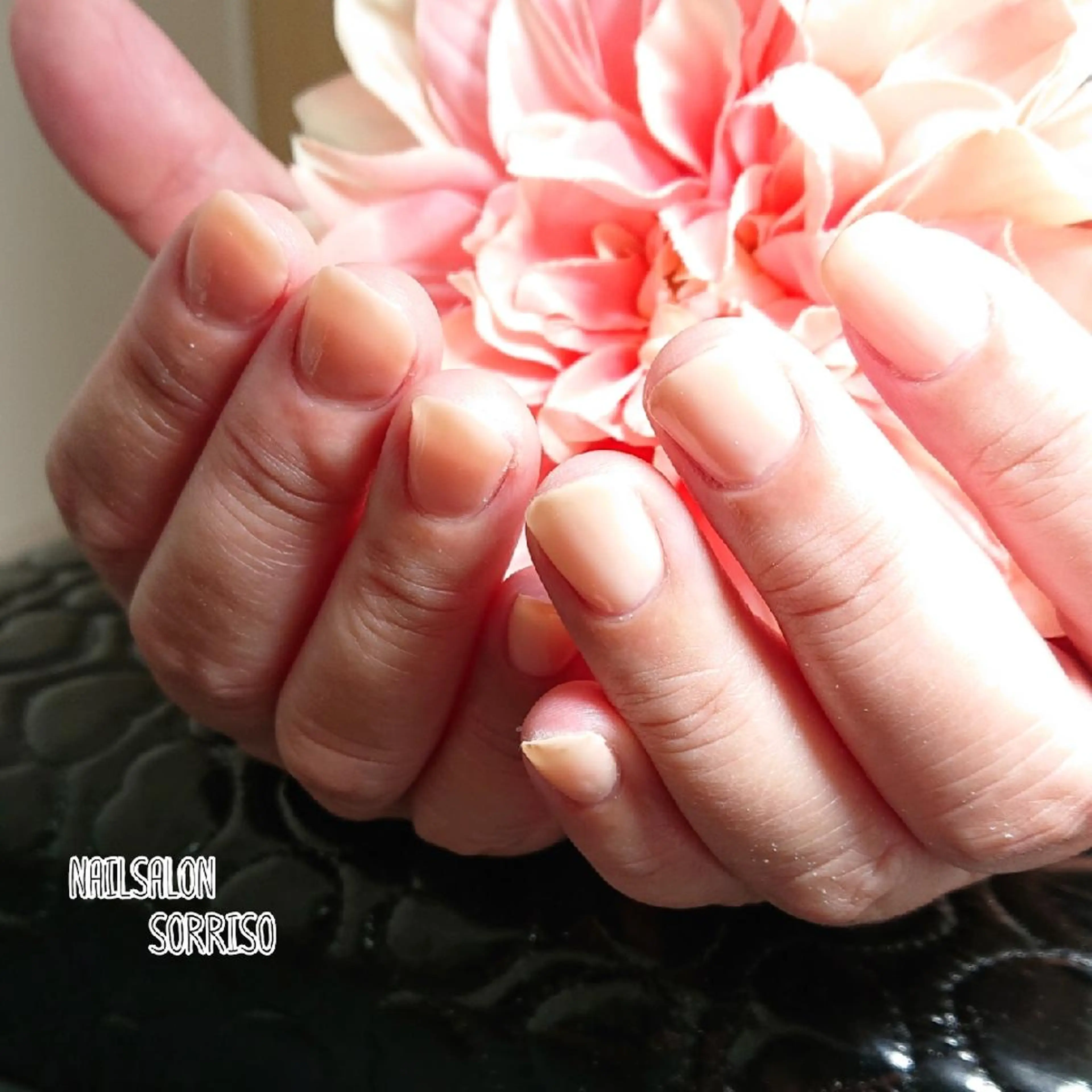 ネイル ワンカラーネイル KOYAMA KIMIEのネイルデザイン