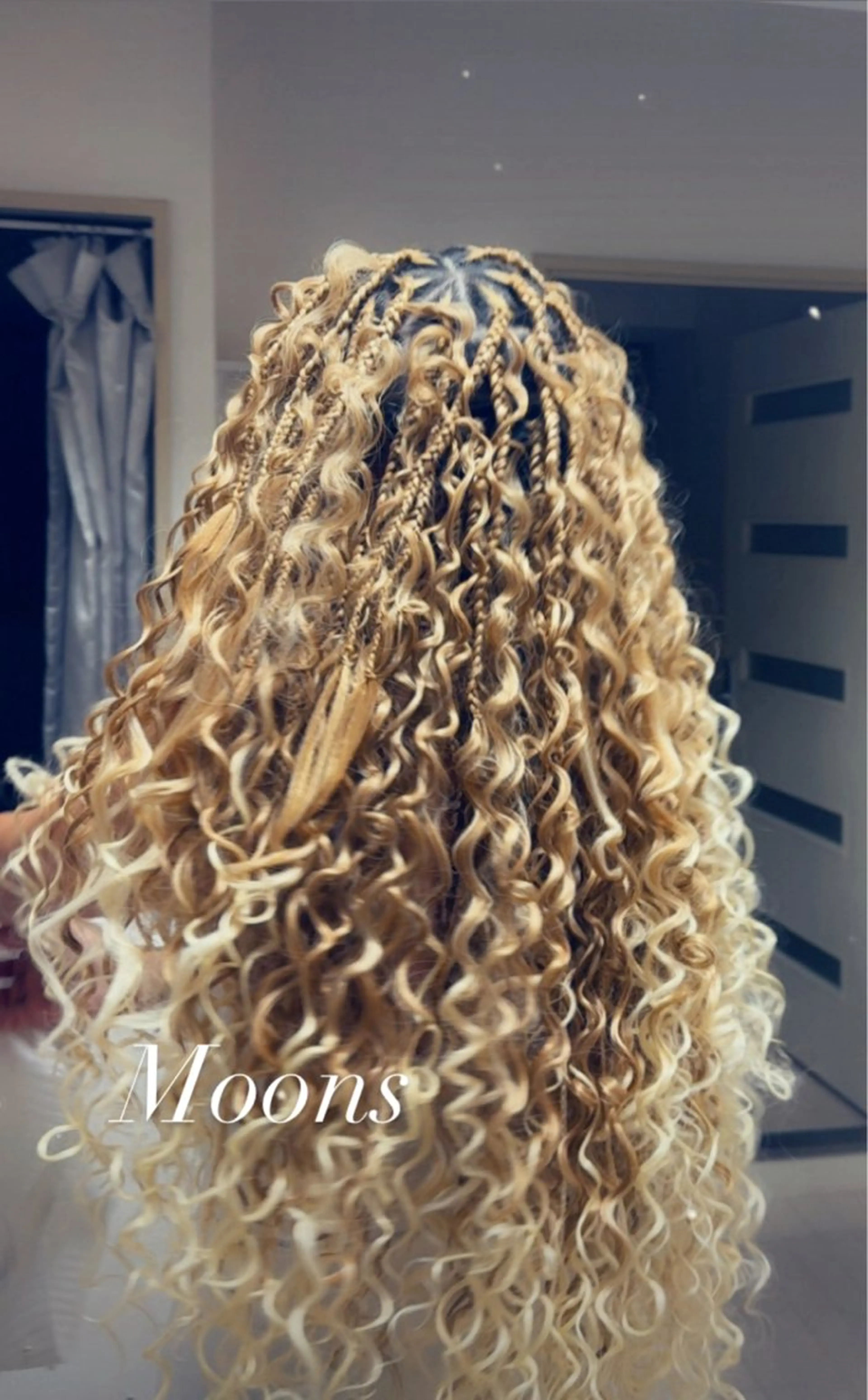 ブレイズ（ブロッキング中）Bohobraids,Boxbraidsの写真