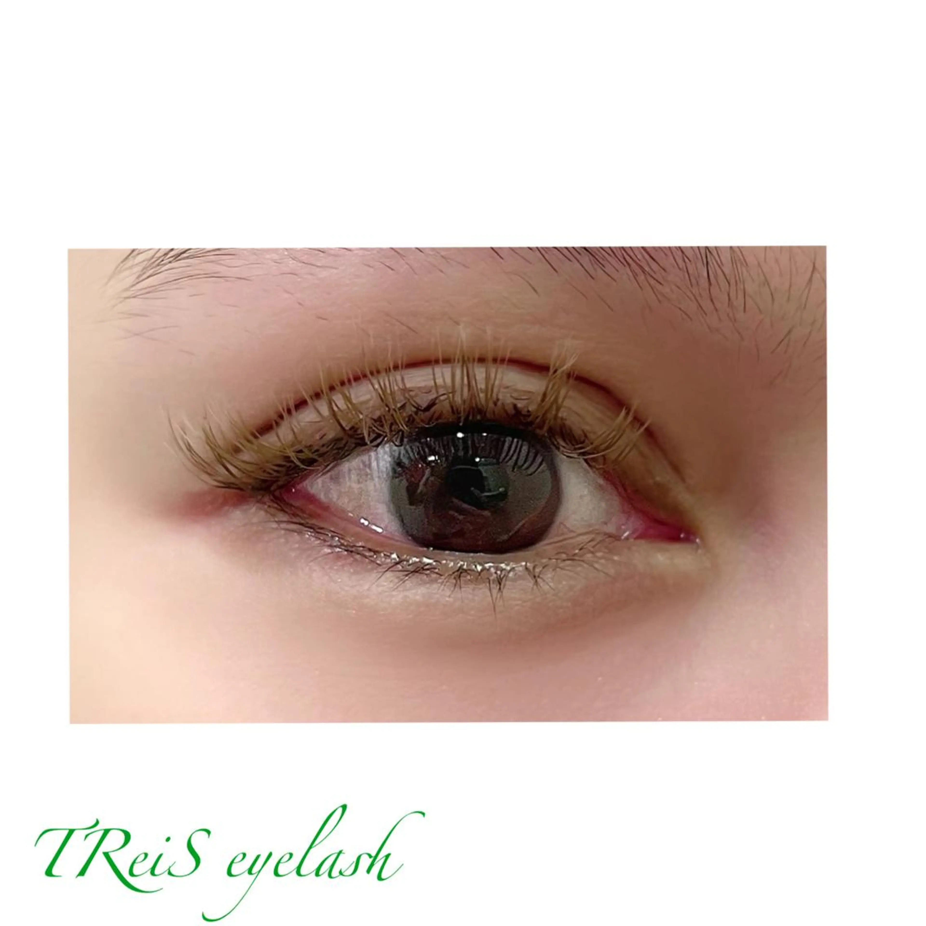 マツエク・マツパ TReiS所属・TReiS eyelashのマツエク・マツパデザイン