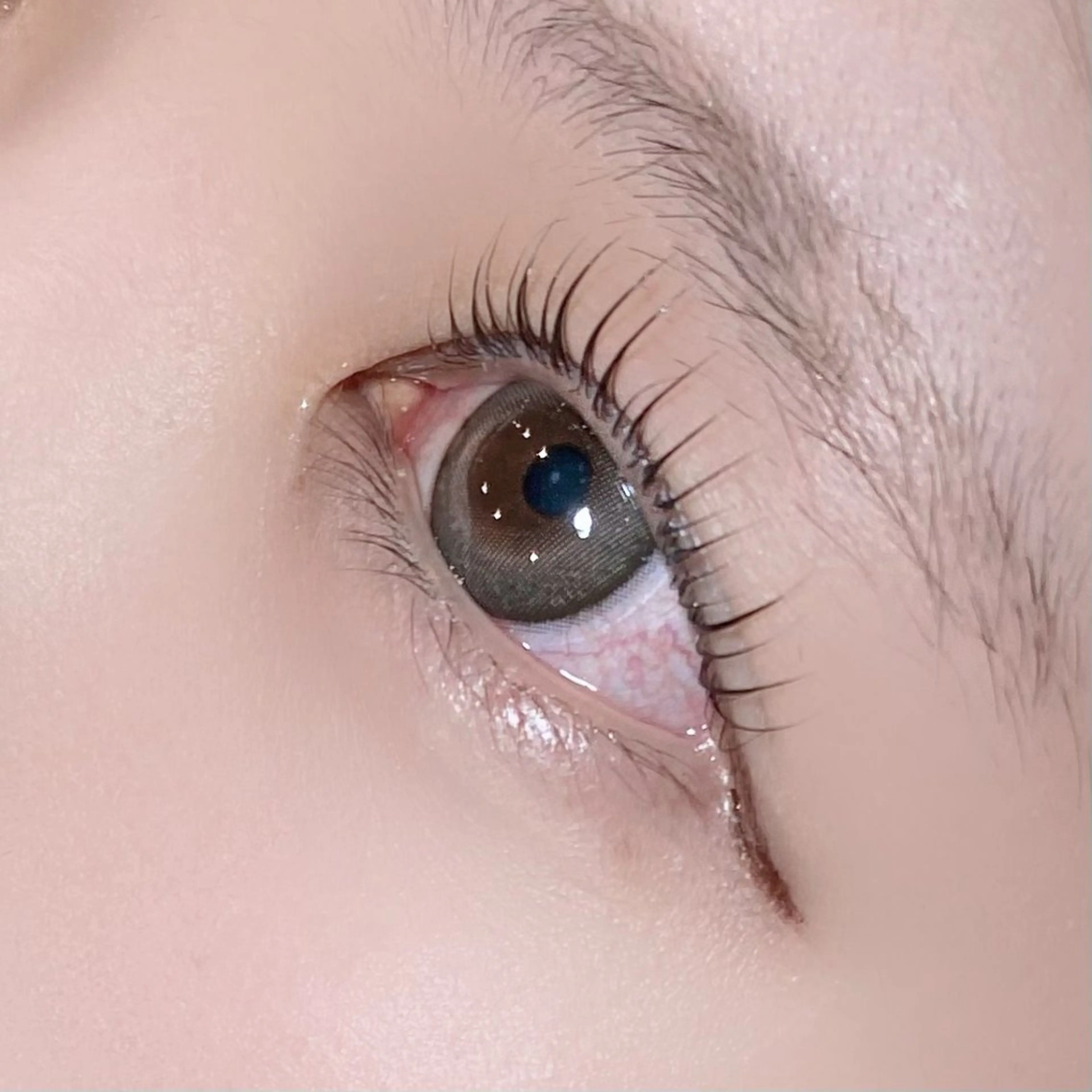 マツエク・マツパ パリジェンヌラッシュリフト TERRA MATSUZAWAのマツエク・マツパデザイン