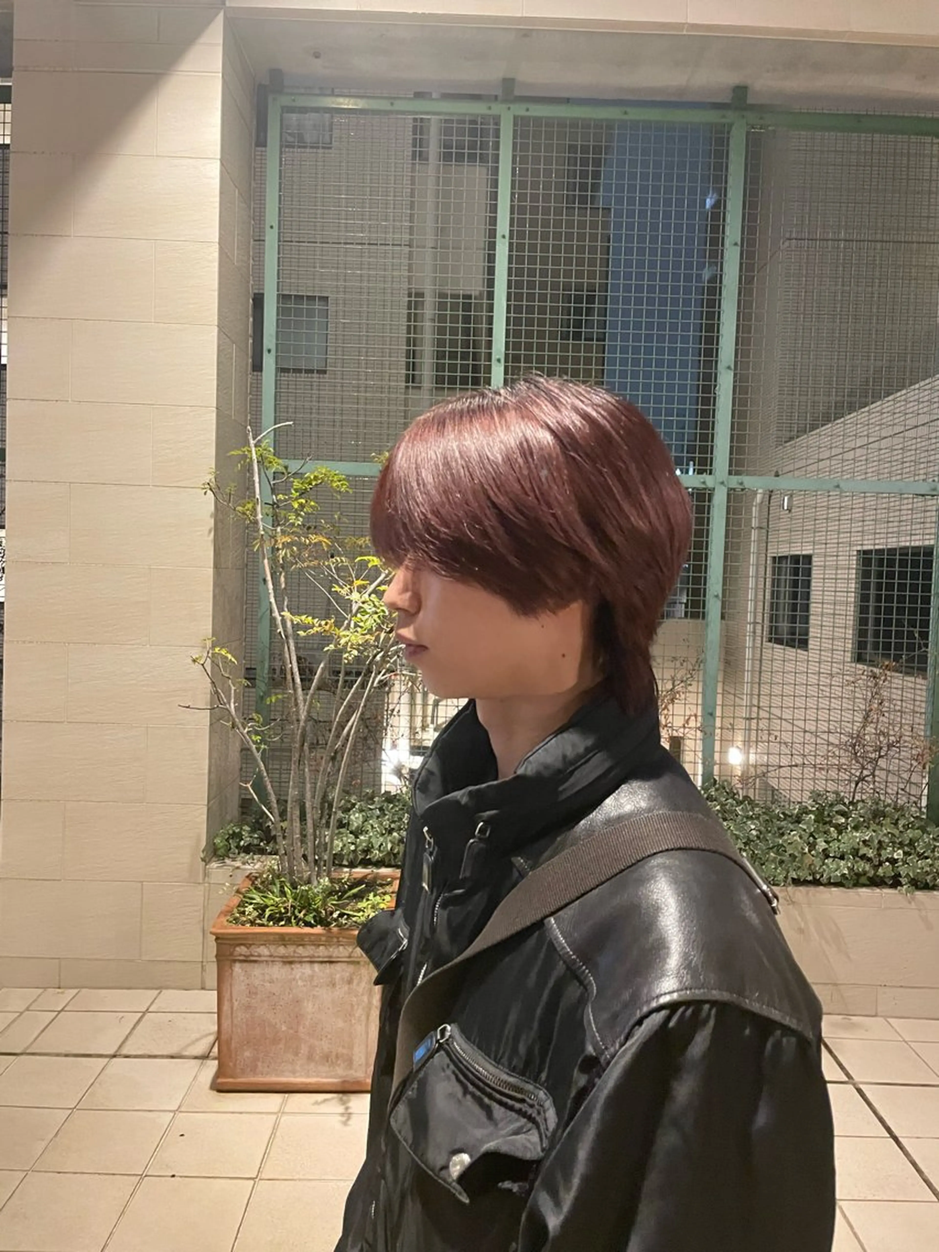 カラー メンズ メンズウルフカット ボルドーカラー ウルフカット 辻野 光希のヘアスタイル