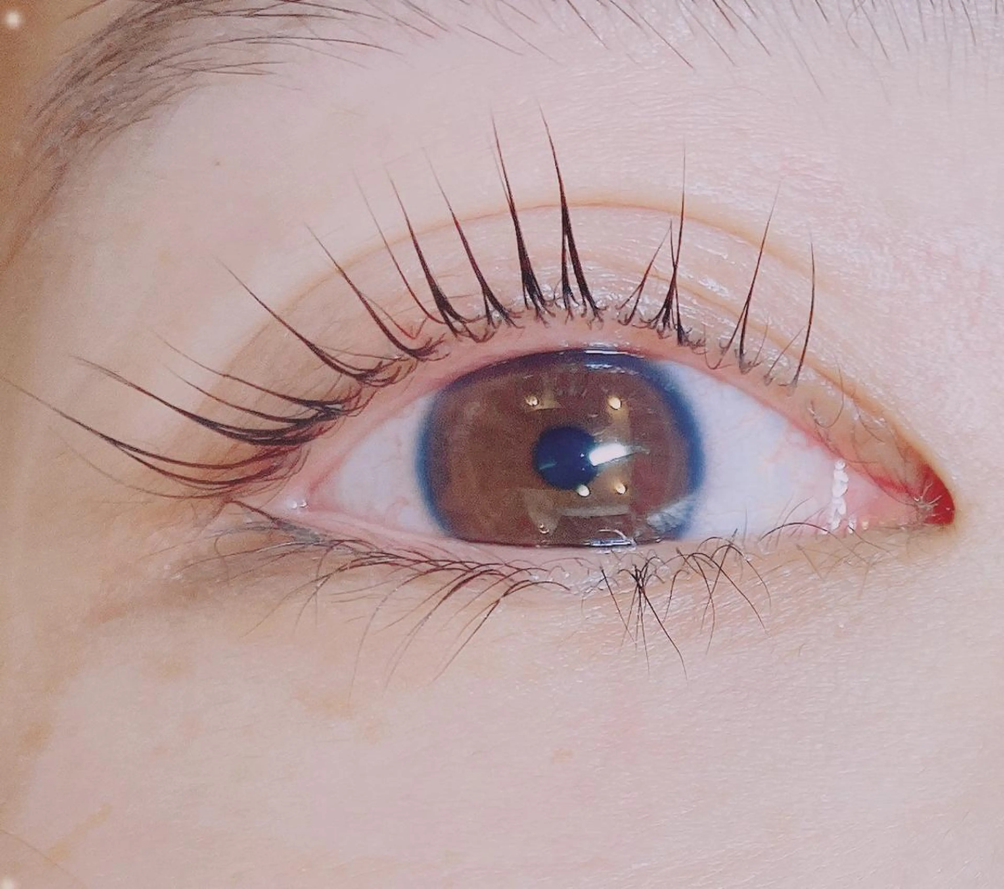 マツエク・マツパ G's  nail所属・漢方温活サロン ひだまり【本郷台】のエステ・リラクイメージ