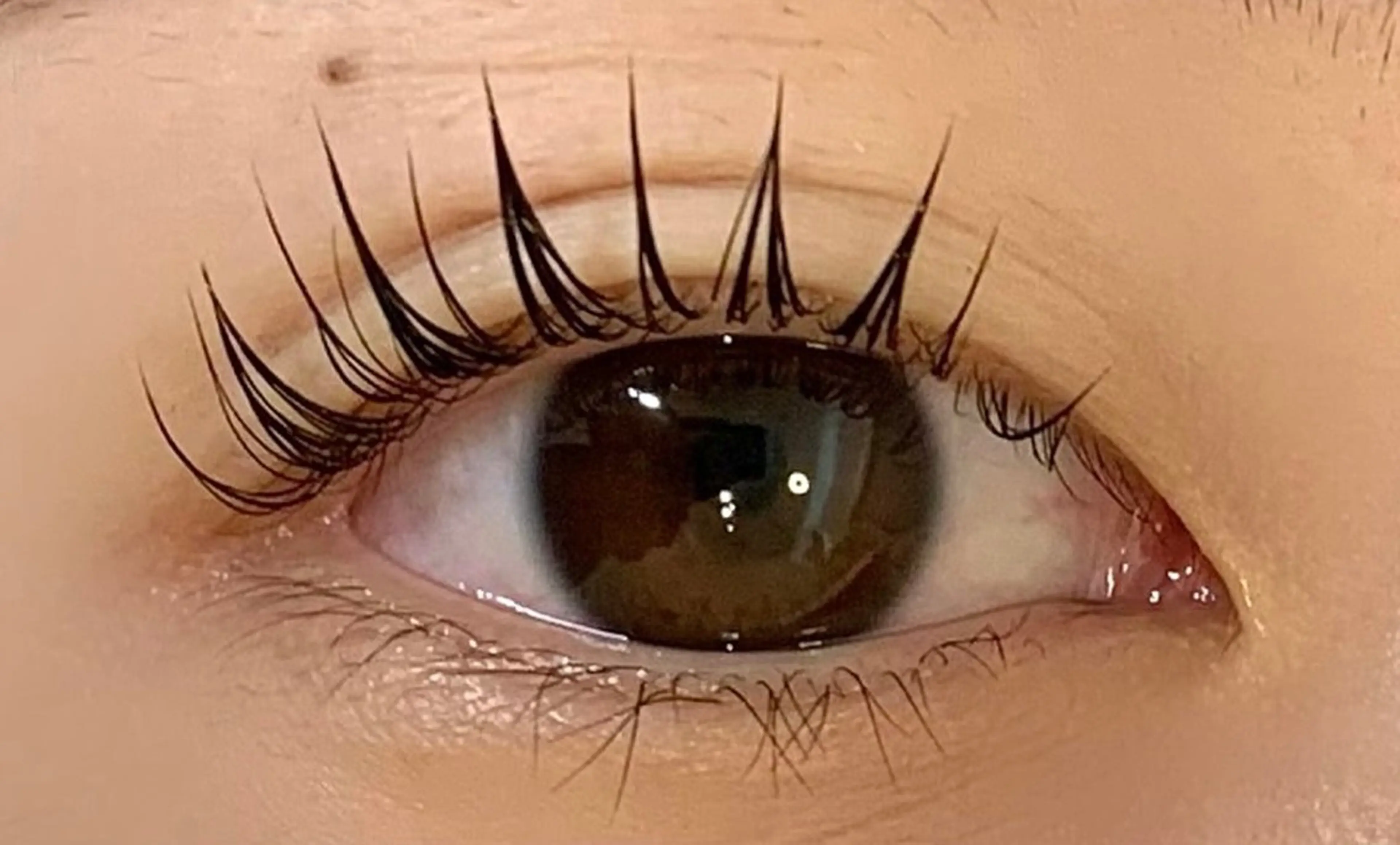 マツエク・マツパ TORCH 青柳のマツエク・マツパデザイン