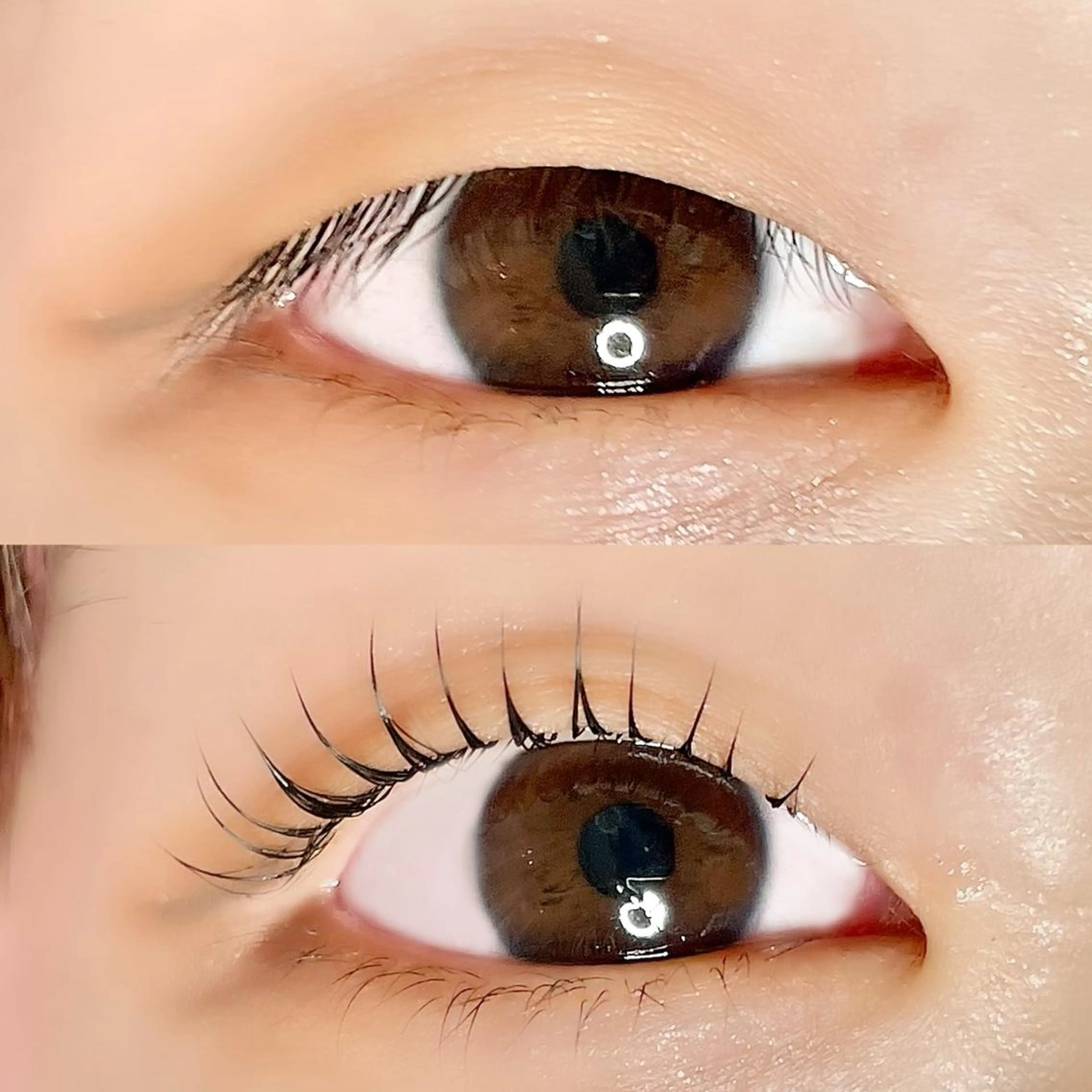 マツエク・マツパ AYLASH🧡 猪又のマツエク・マツパデザイン