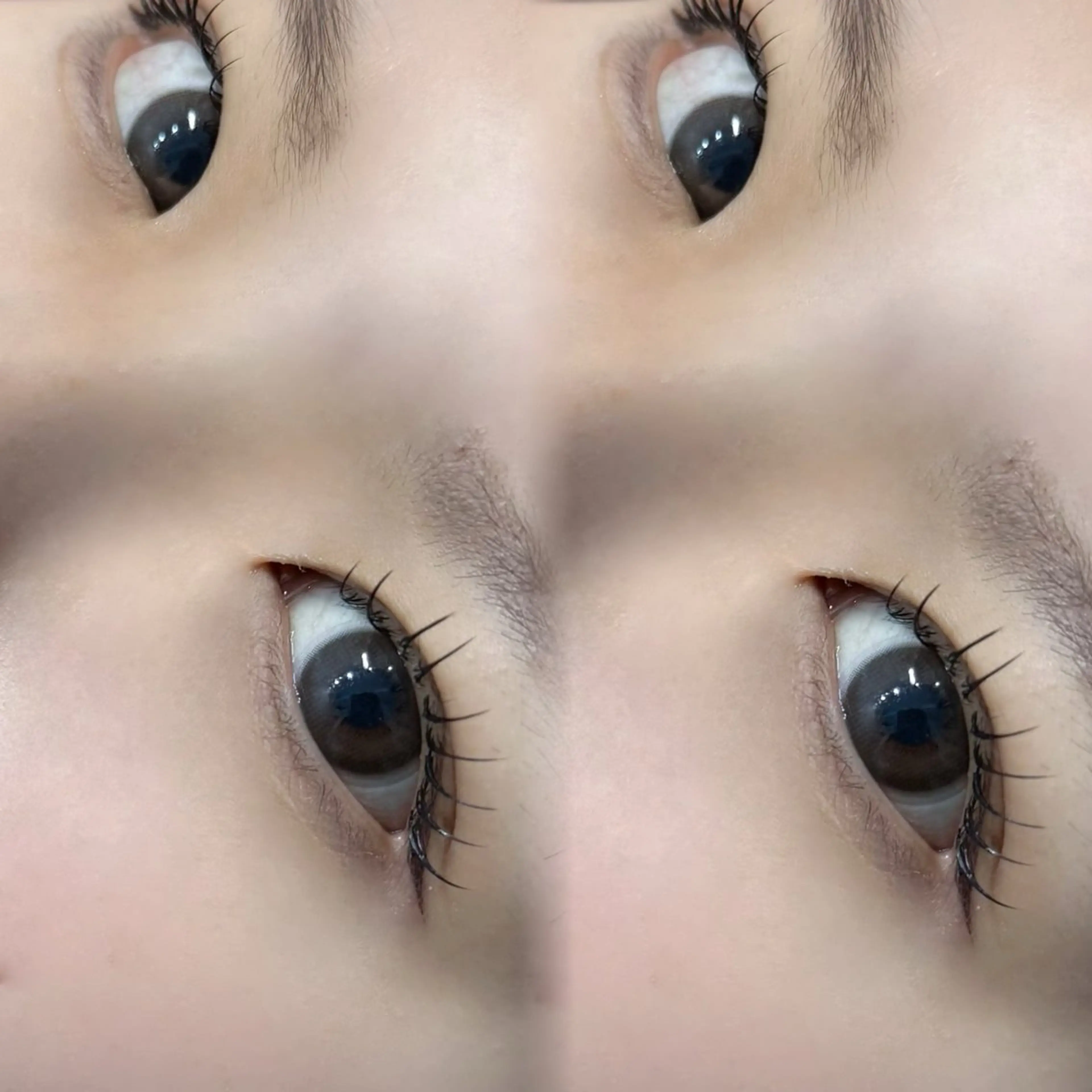 マツエク・マツパ マツエク LaSHE's YUKARIのマツエク・マツパデザイン