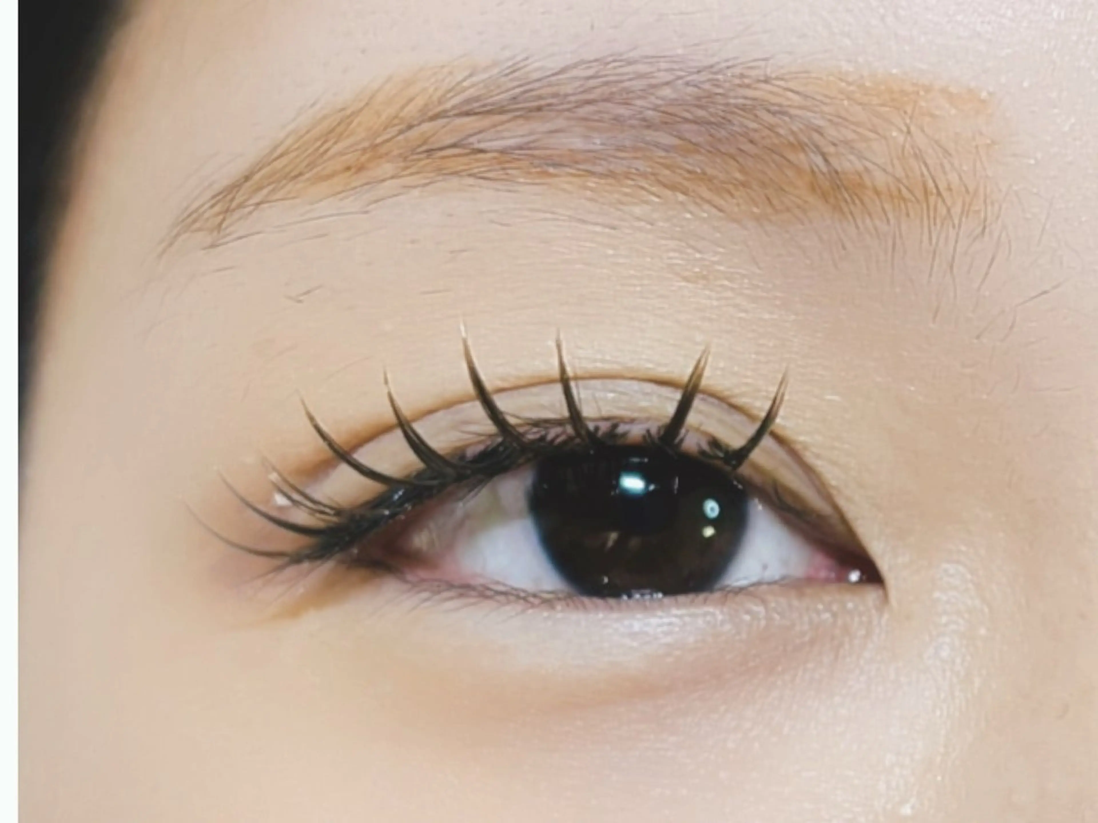 マツエク・マツパ 付け放題 バインドロック 束感まつ毛 フラットラッシュ パリジェンヌラッシュリフト マツエク オーロラ所属・AURORA RINAのマツエク・マツパデザイン