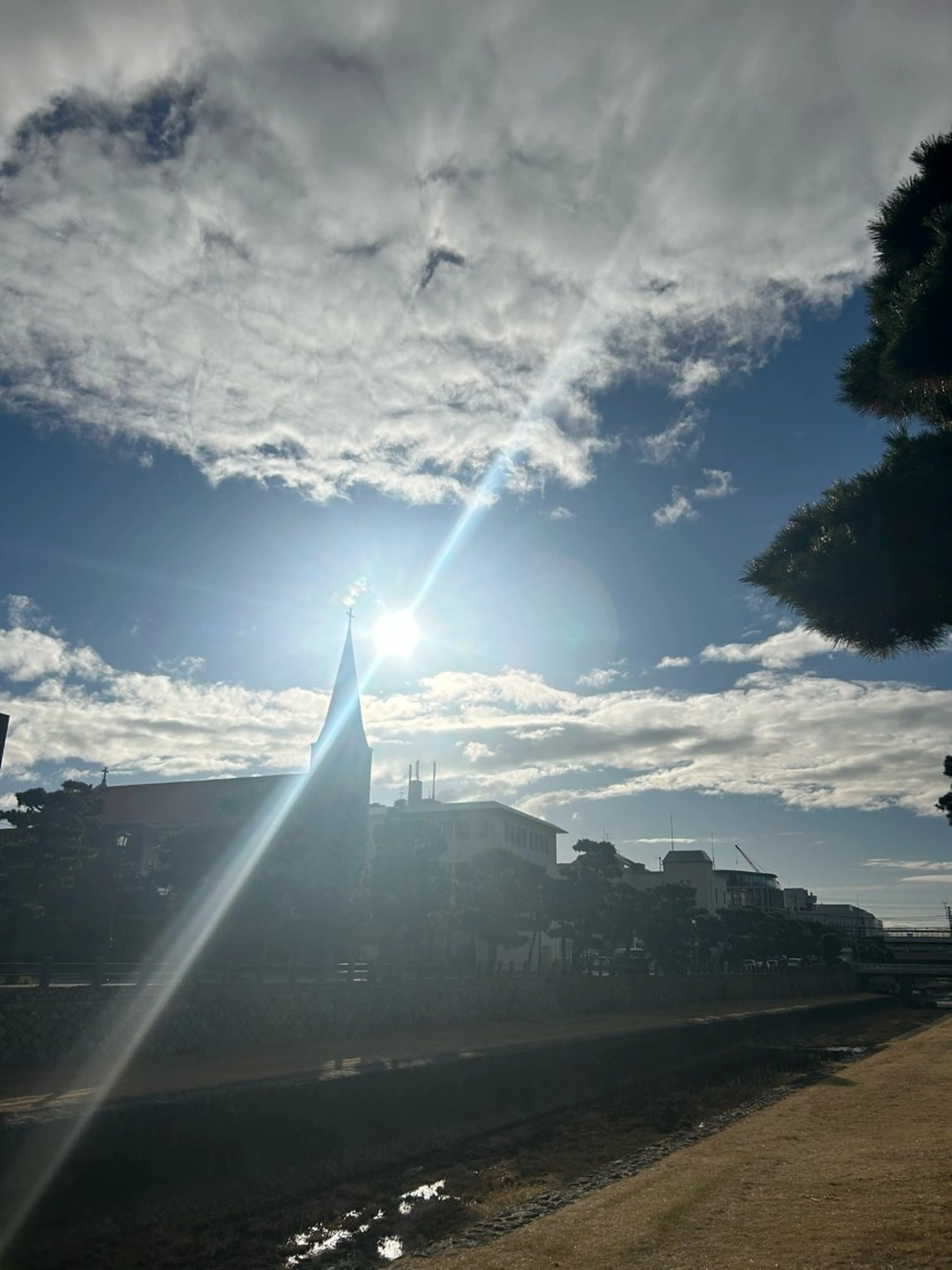 バストアップ専門 おっぱい先生いそのその他イメージ