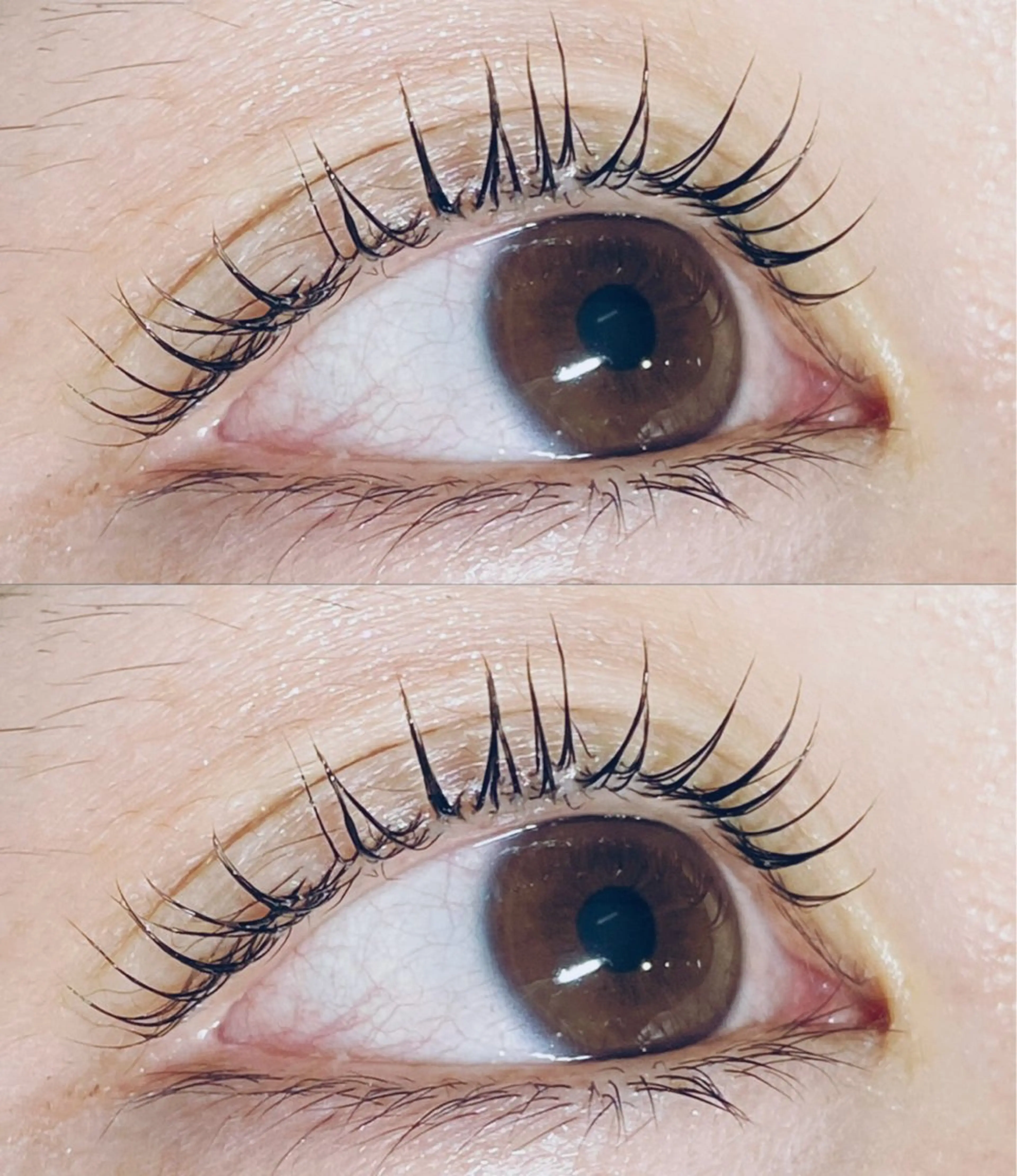 マツエク・マツパ マツパ eyelist🌹 Harunaのマツエク・マツパデザイン