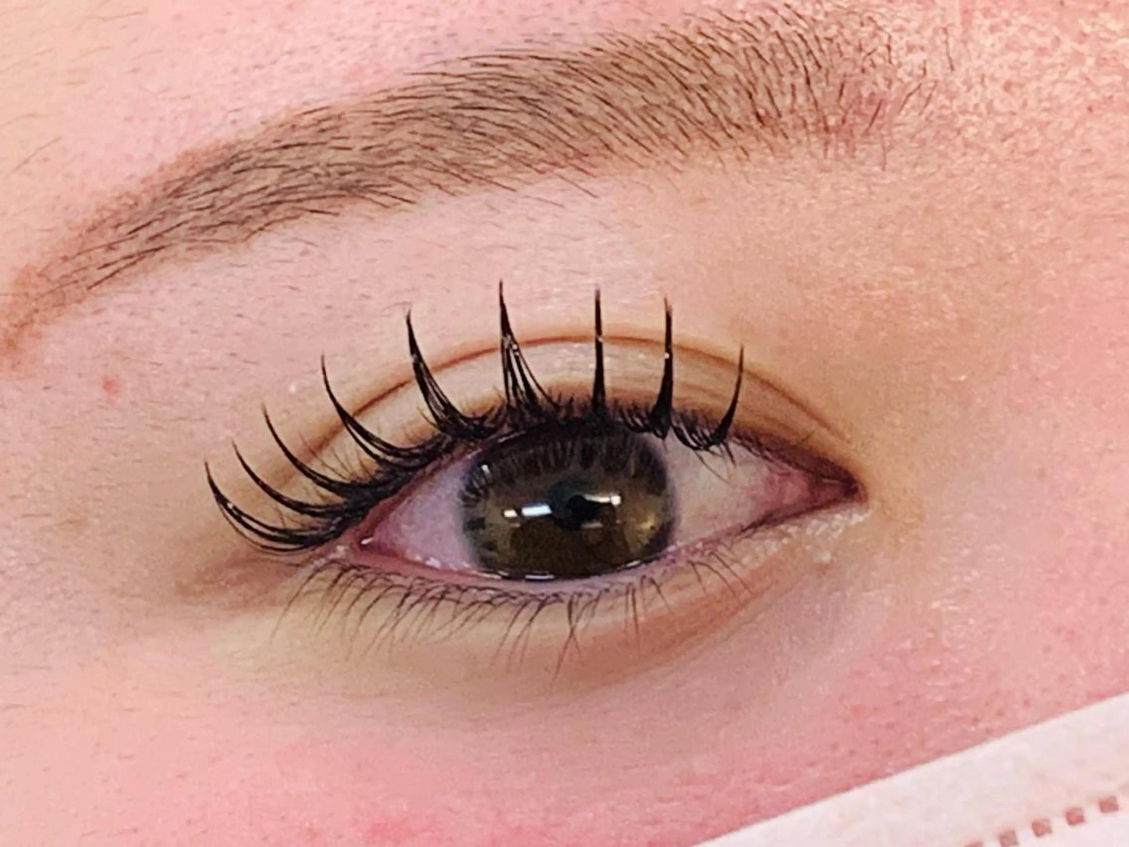 マツエク・マツパ Lil by Fan. 菊池のマツエク・マツパデザイン