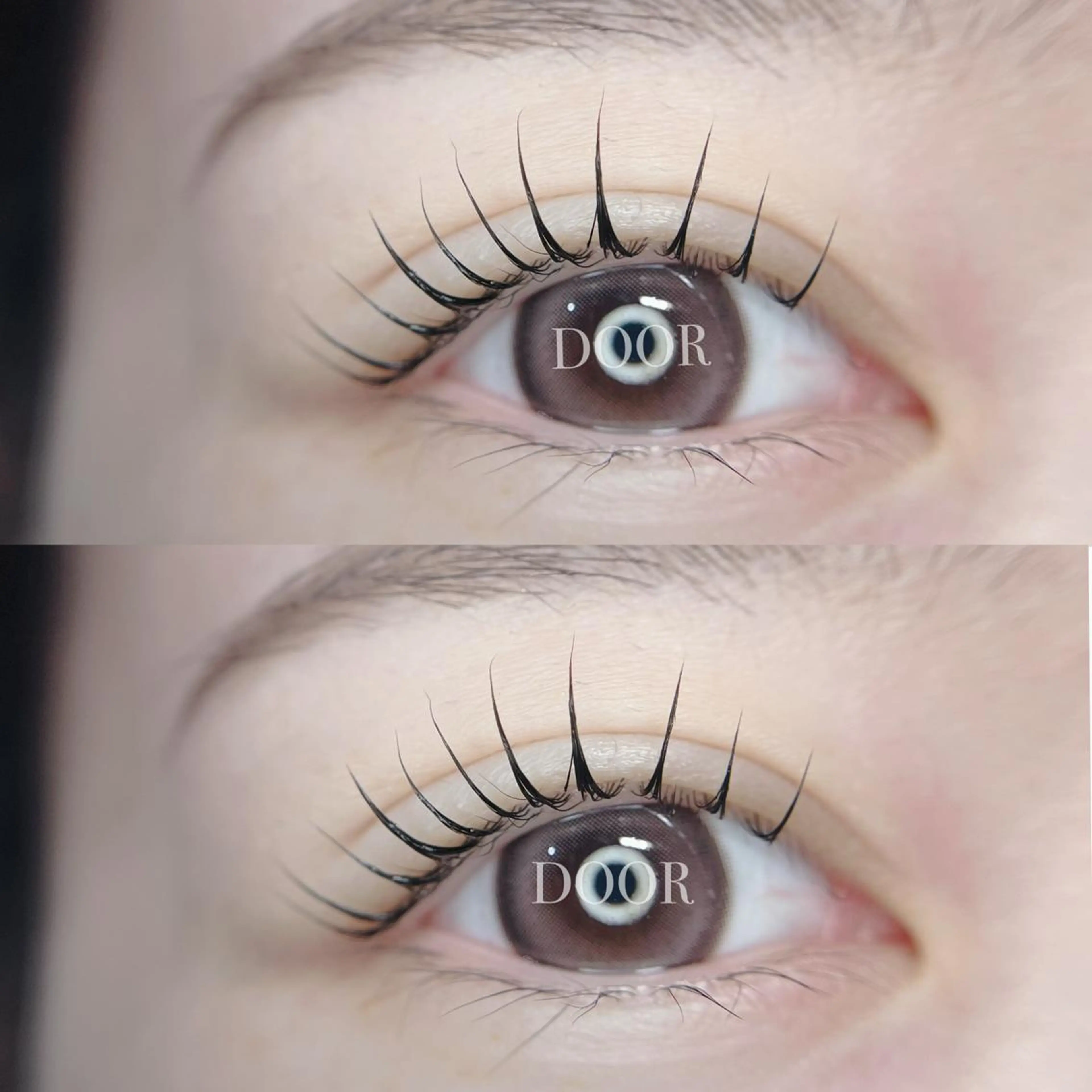 ⭐️12/21限定⭐️パリジェンヌ orパーマ🤍コーティング＆アイシャンプー付(ティント付は＋500円)の写真