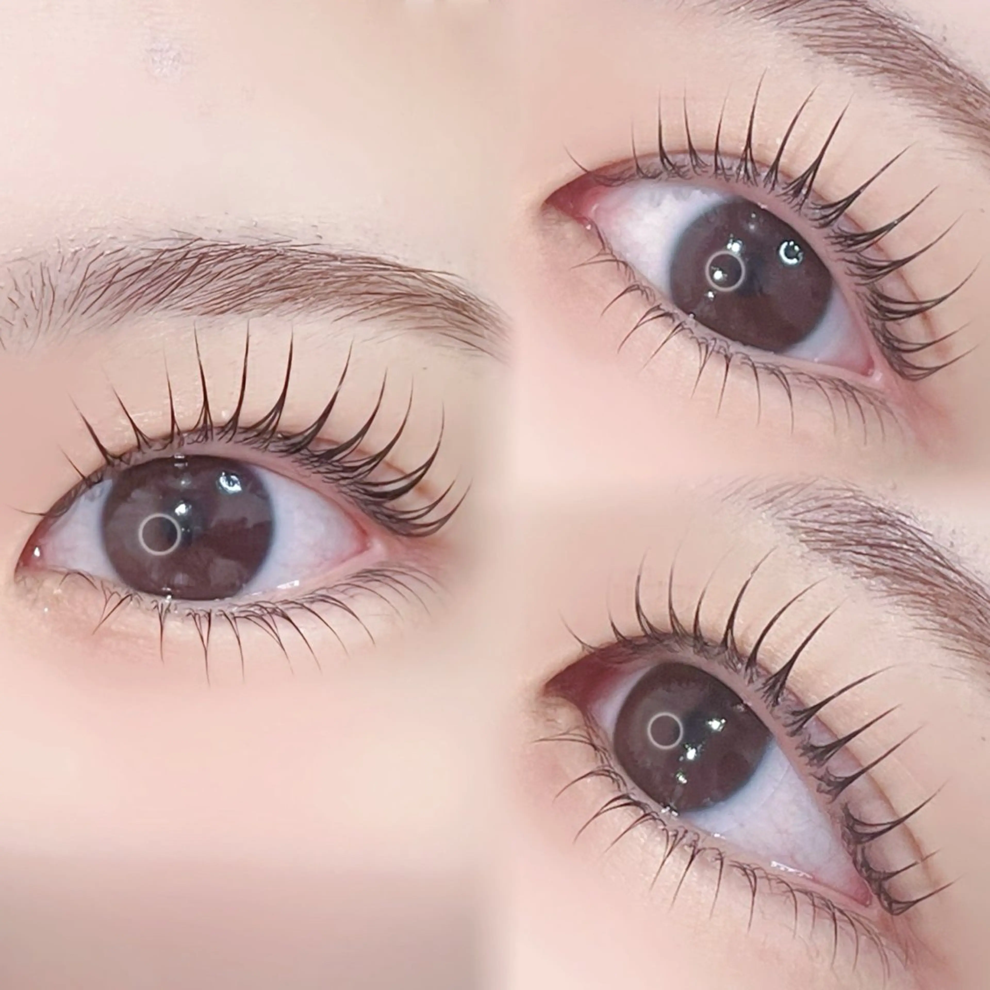 マツエク・マツパ マツパ miyu￤立川￤束感 まつパ￤マツエクのマツエク・マツパデザイン