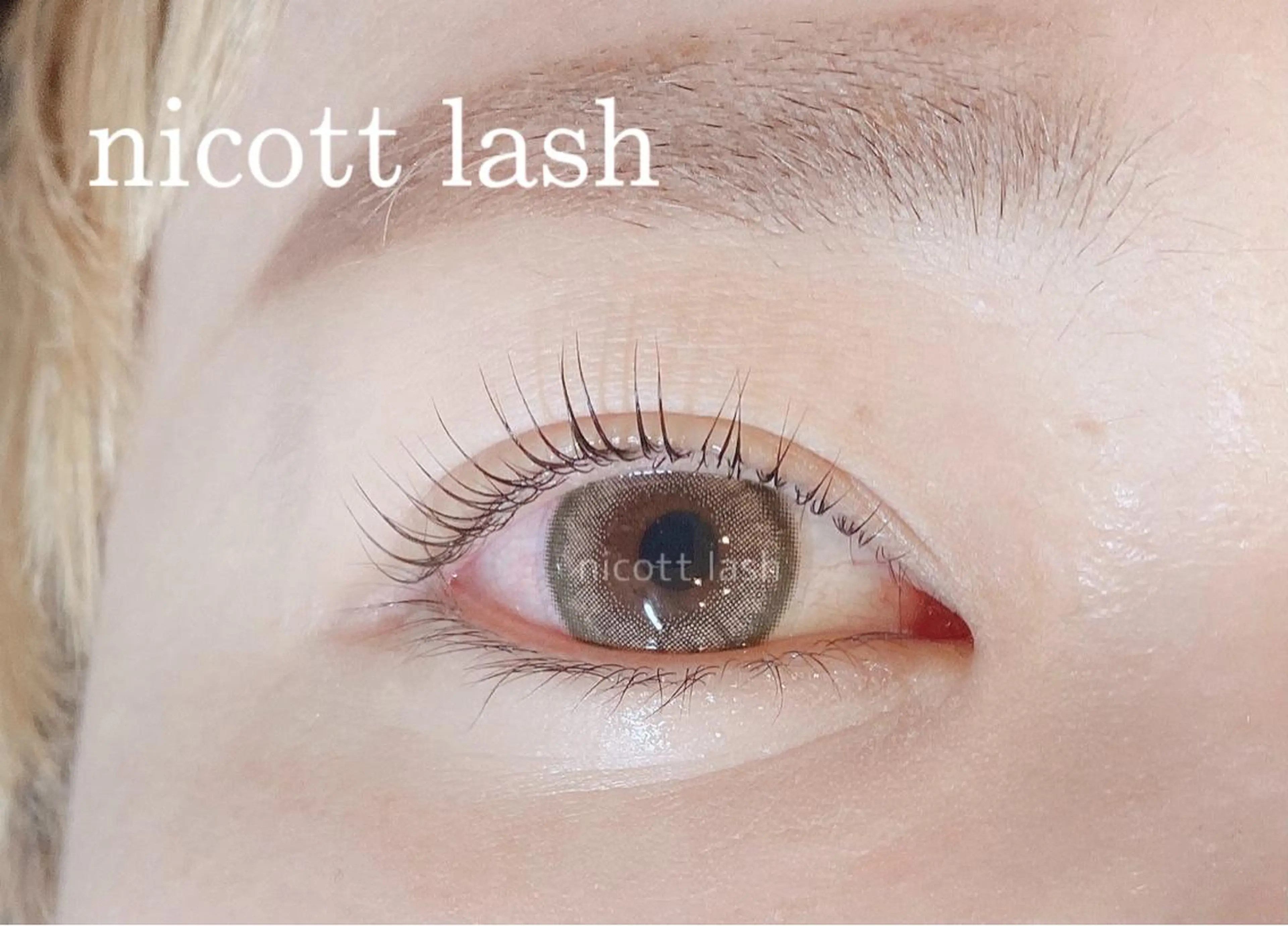 マツエク・マツパ パリジェンヌラッシュリフト nicottlash 天王寺店の眉毛・アイブロウイメージ