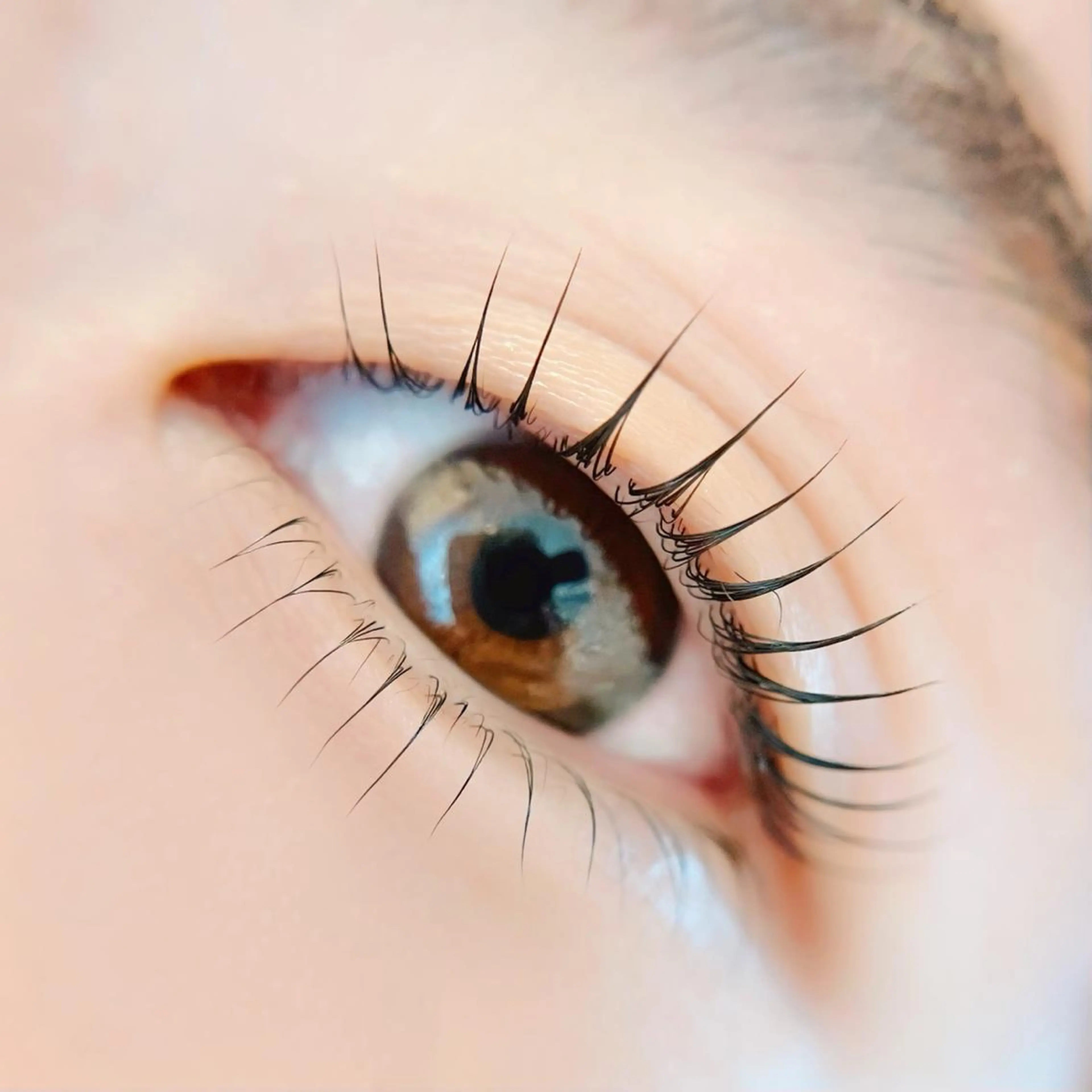 上下まつげパーマの写真