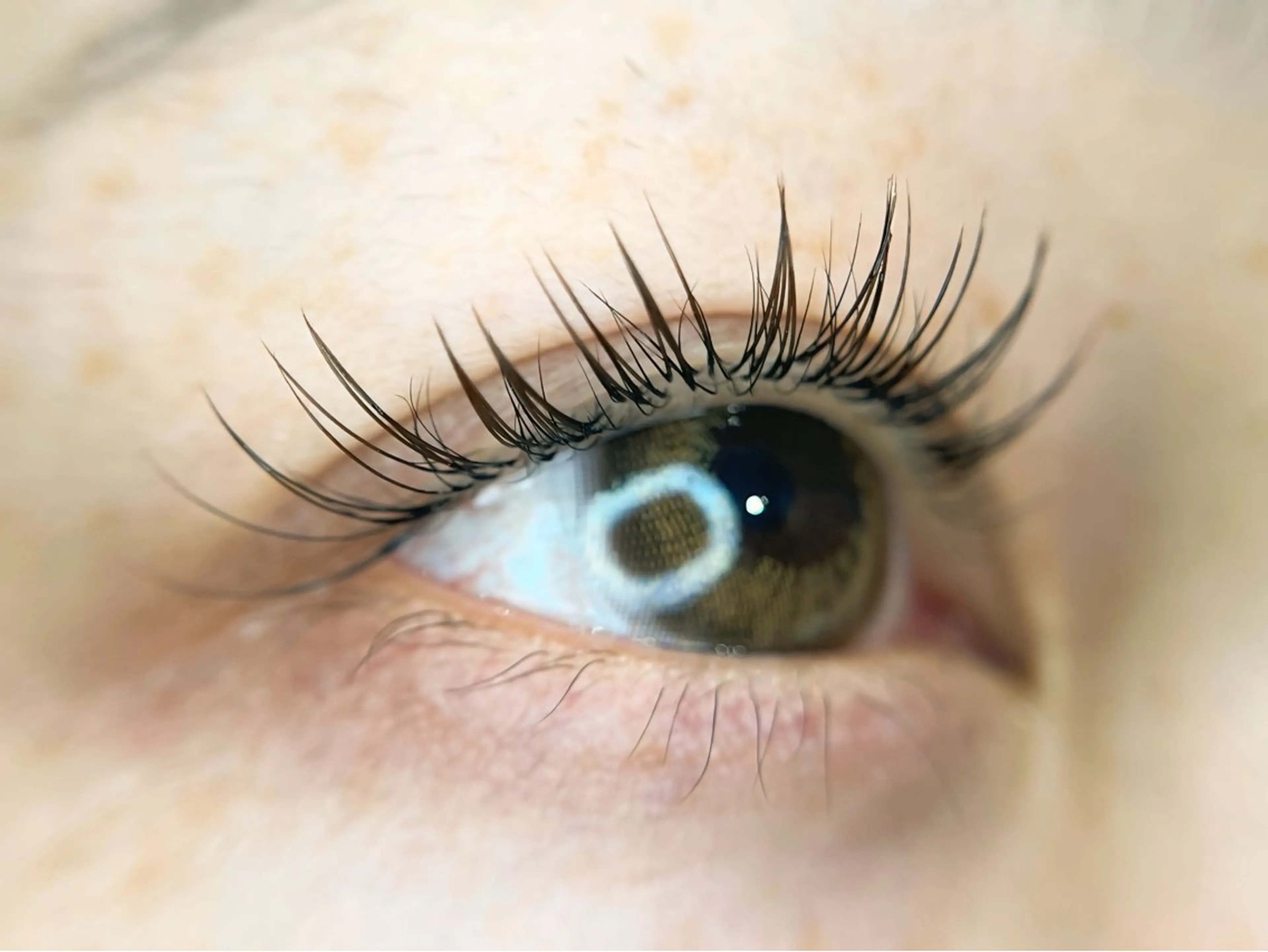 マツエク・マツパ フラットラッシュ 岩見 桐子のマツエク・マツパデザイン