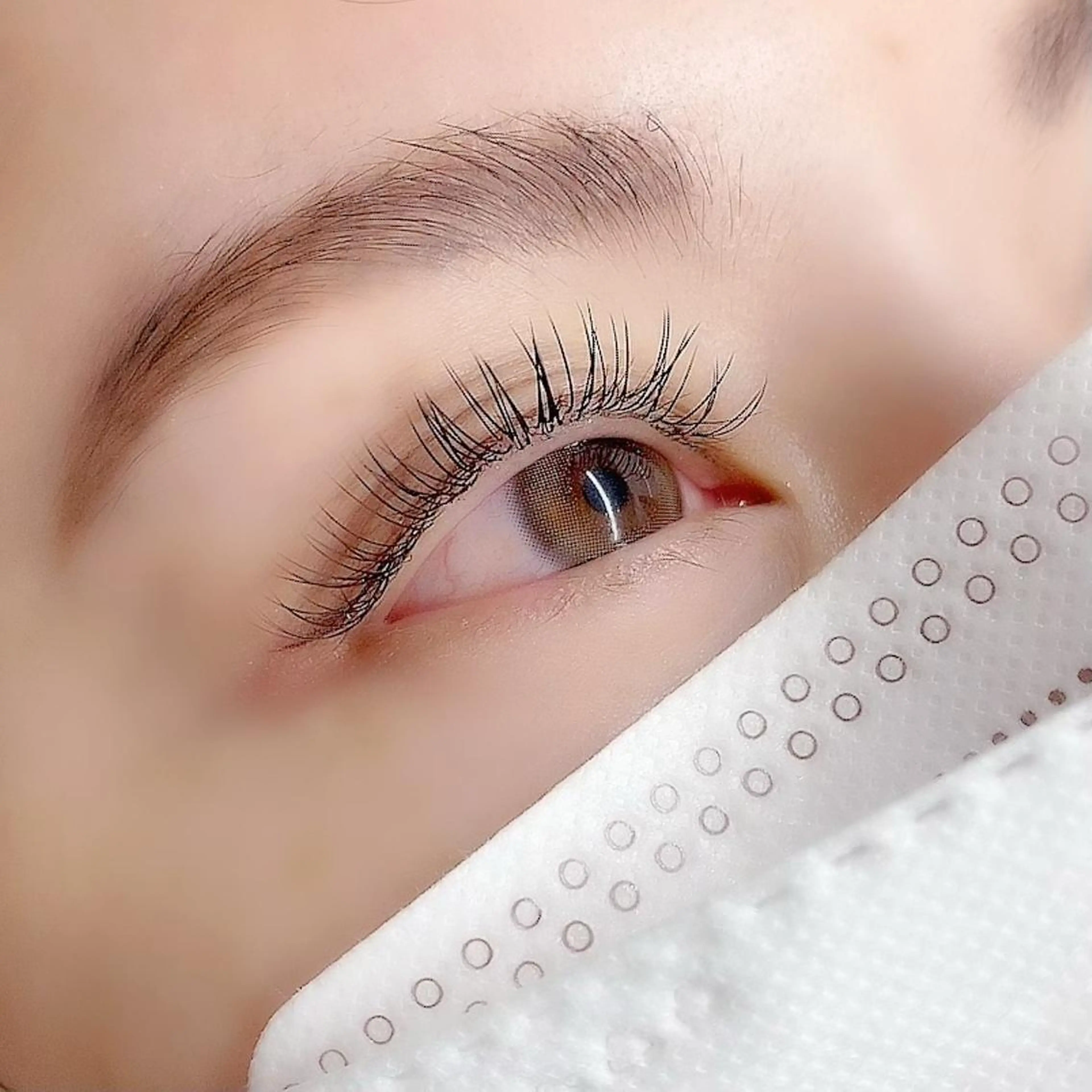 LEDエクステ💡フラットラッシュ120本🦋"オフありの写真