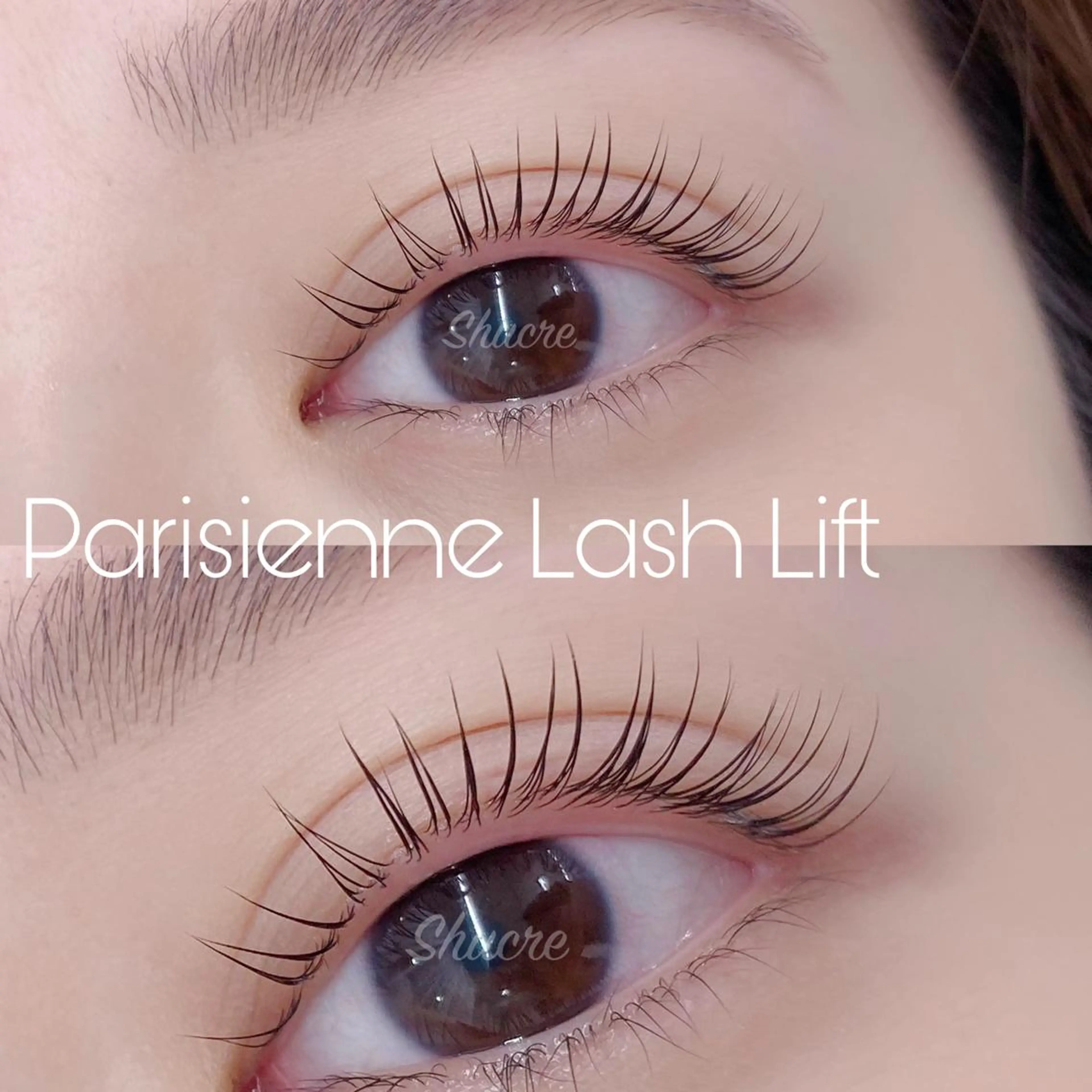 マツエク・マツパ Shucre栄店🤍 Rikaのマツエク・マツパデザイン