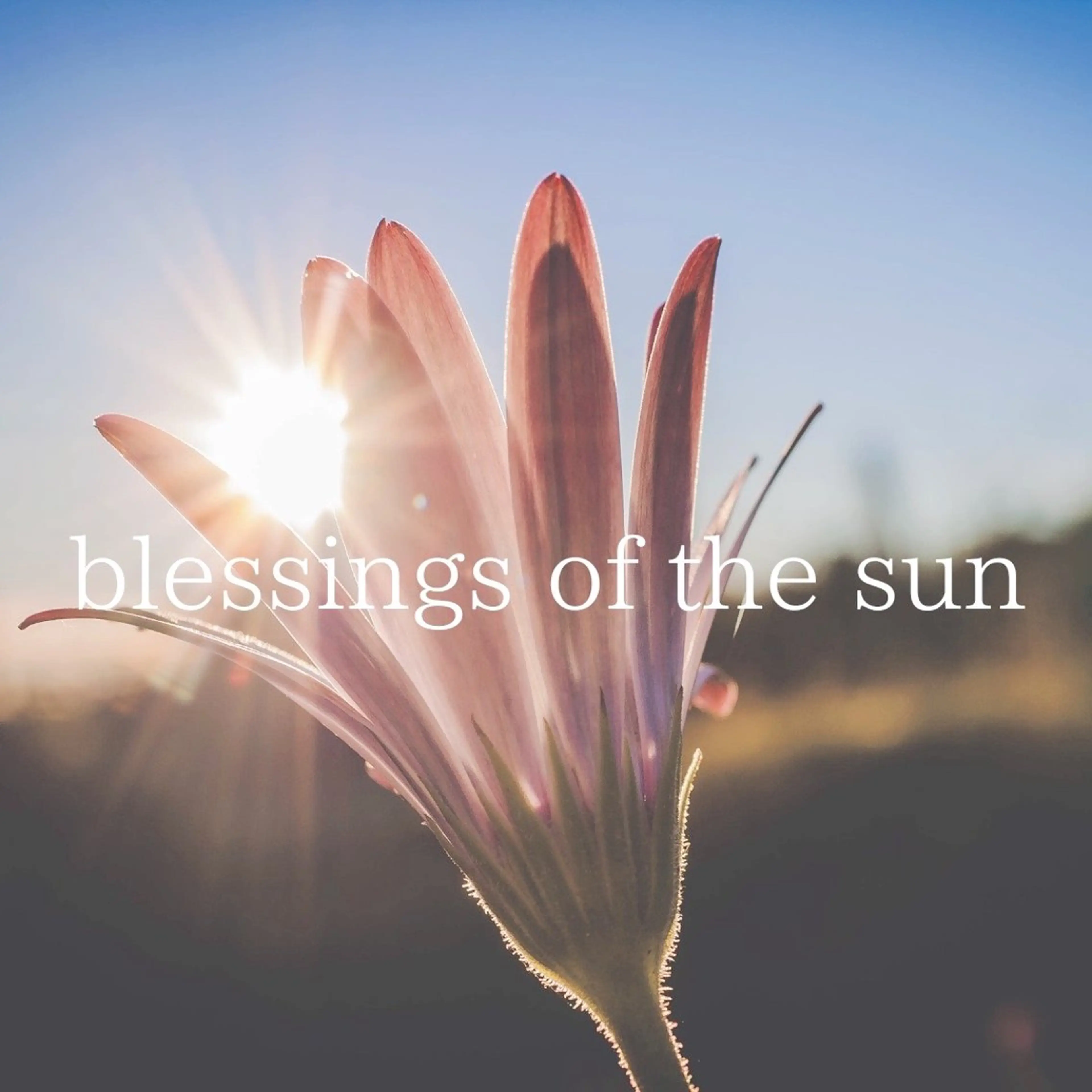 小顔/リンパ/マッサージL.sana所属・小顔/フェイシャル L.sanaのエステ・リラクイメージ