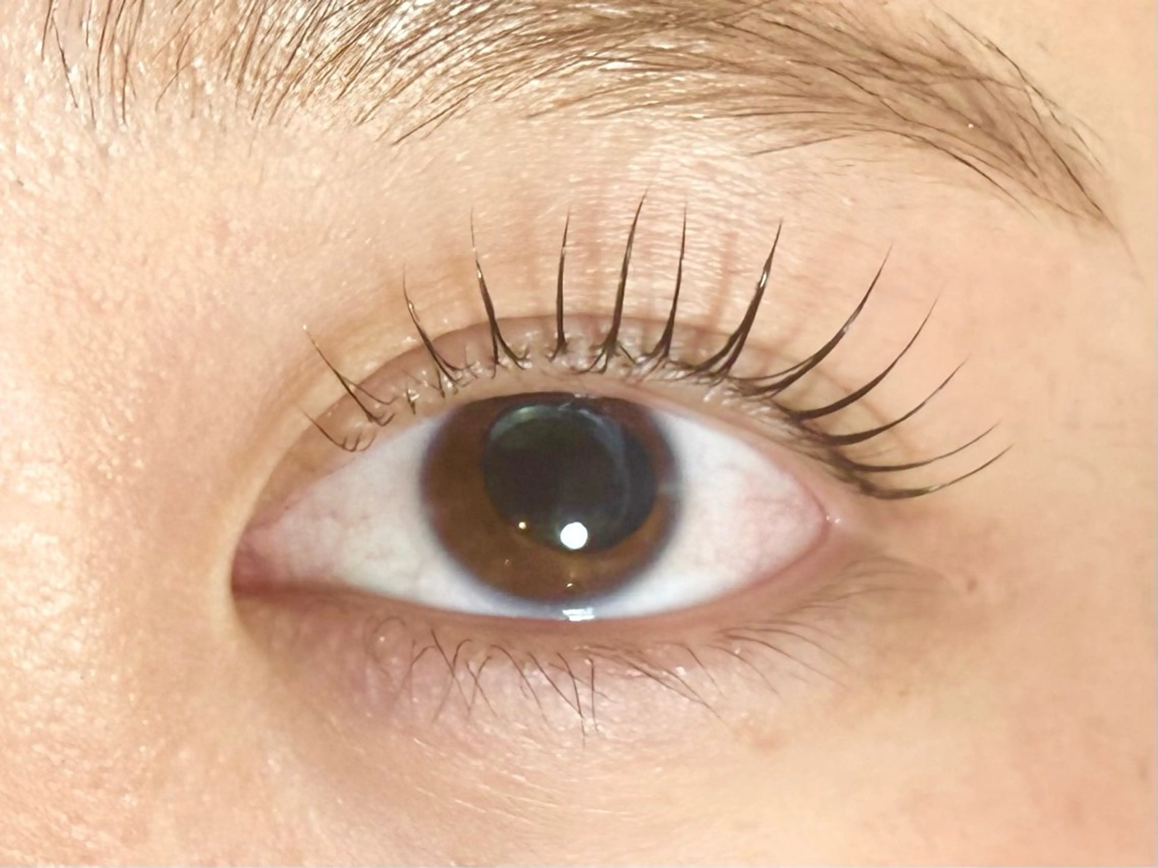 🩷まつ毛パーマ(上のみ)🩷⚠️現金不可の写真